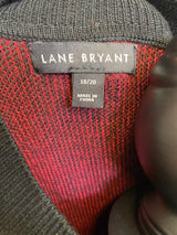 Lane Bryant Love Sweater Dress (18/20)