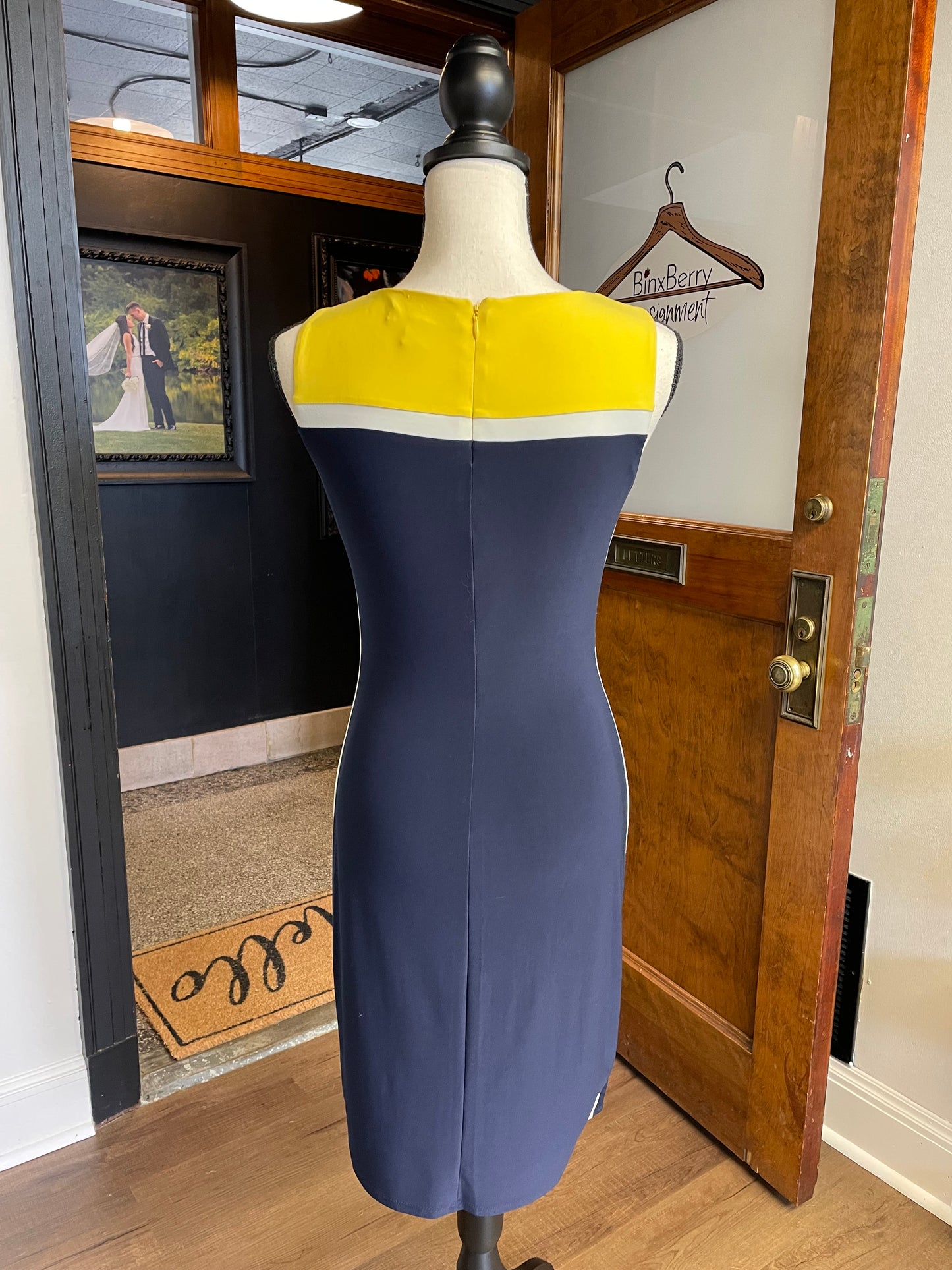 Ralph Lauren Dress (2)
