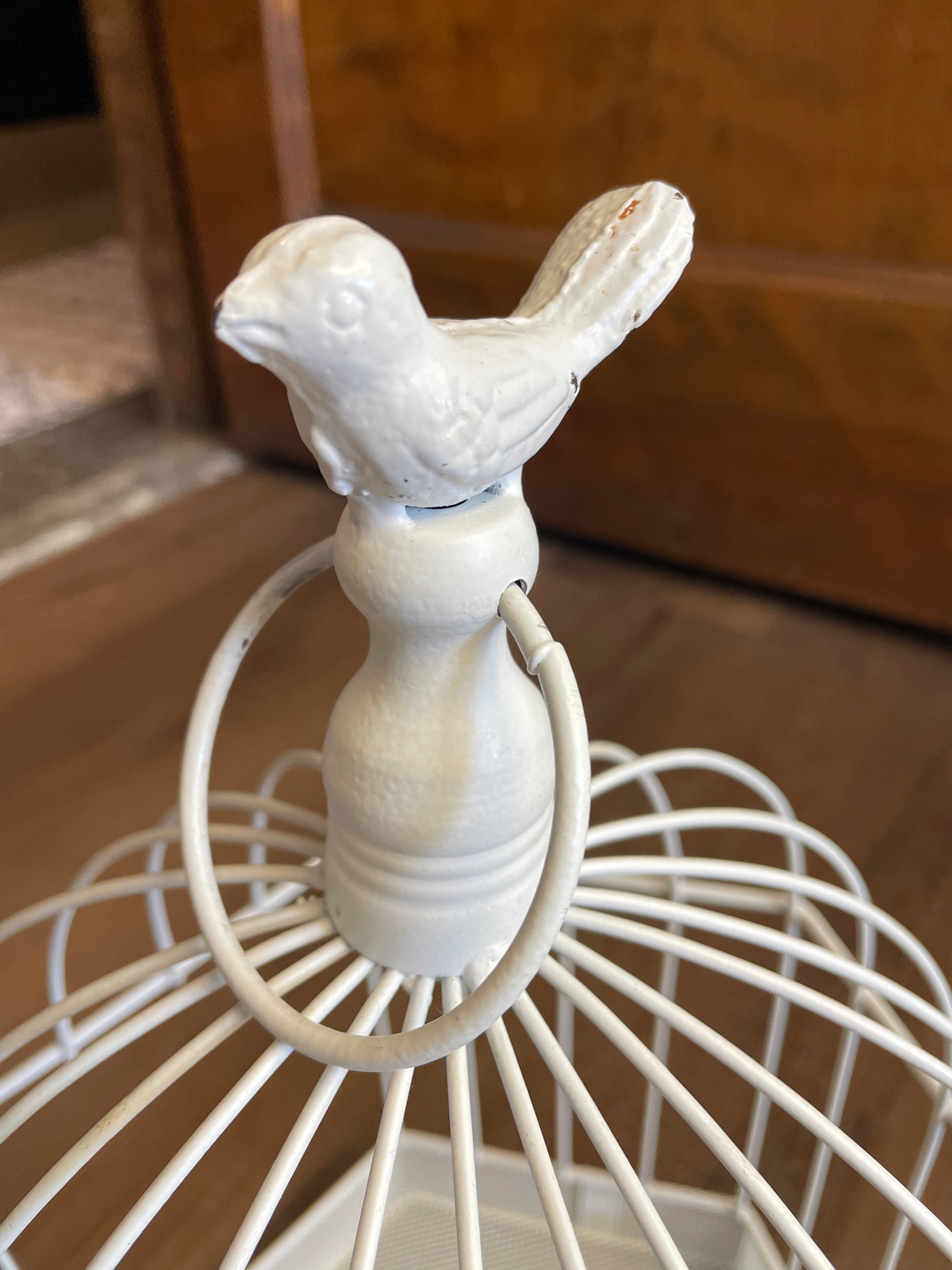 Painted Wire Bird Cage Display