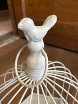 Painted Wire Bird Cage Display