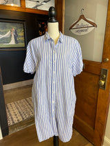 GAP Pinstripe Shirt Dress (M)