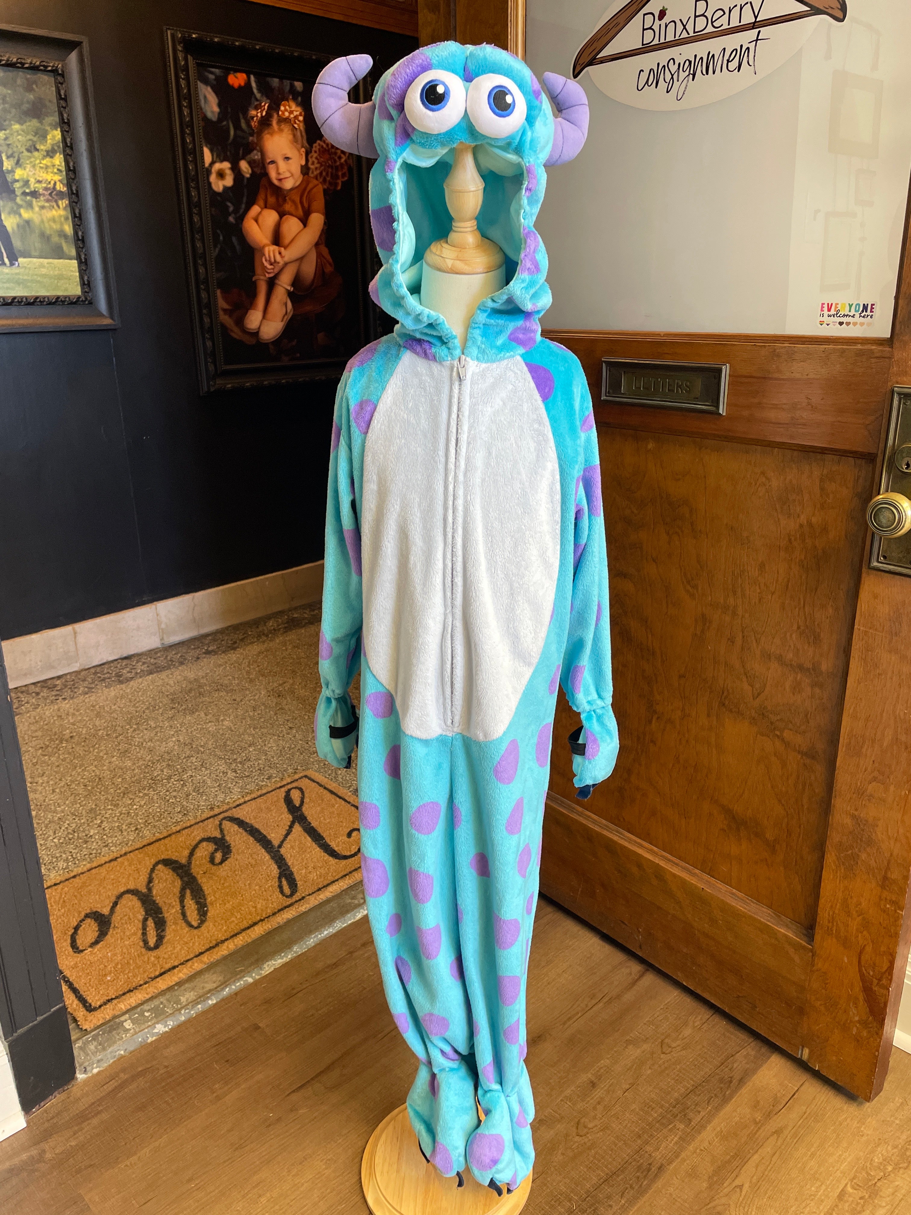 Disney Pixar Monster's Inc Sully Costume (4-5T)