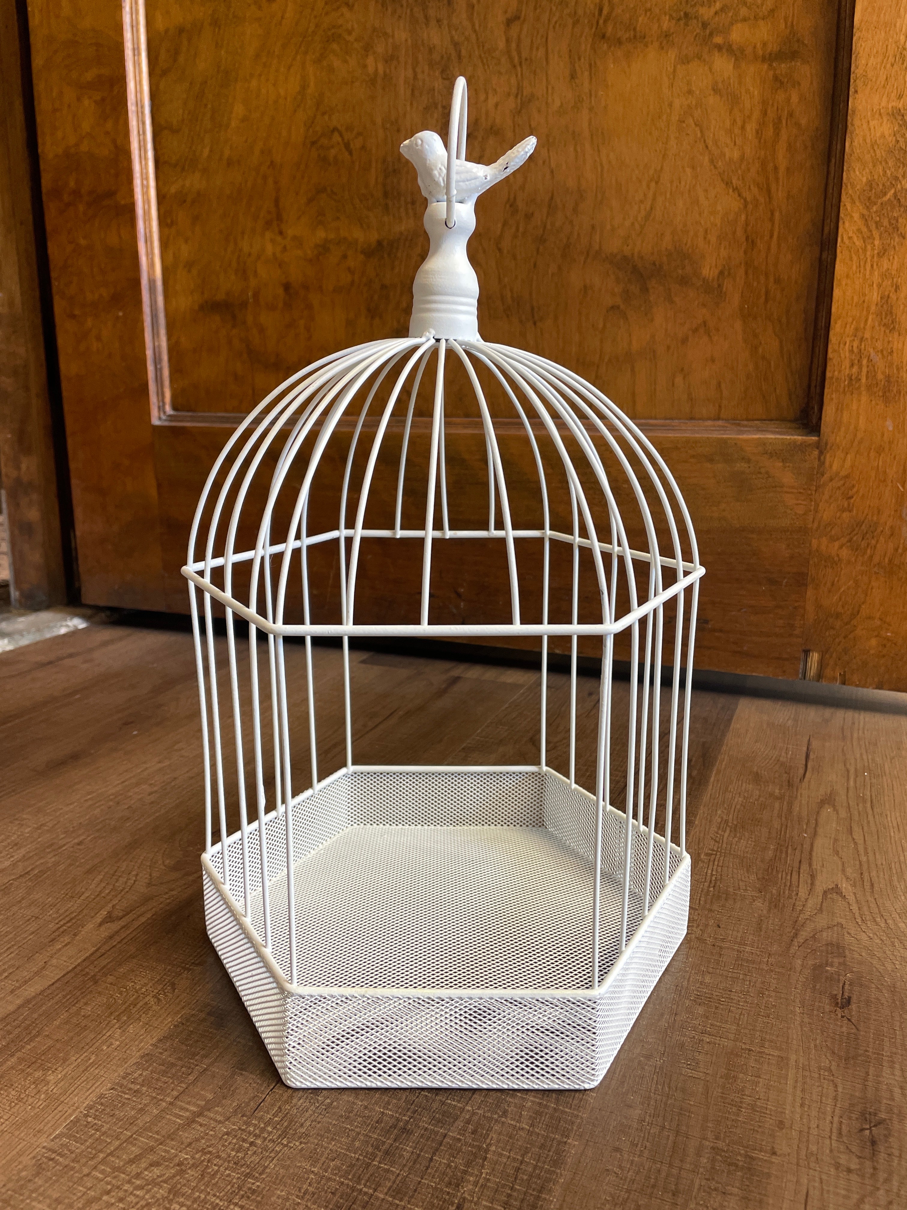 Painted Wire Bird Cage Display