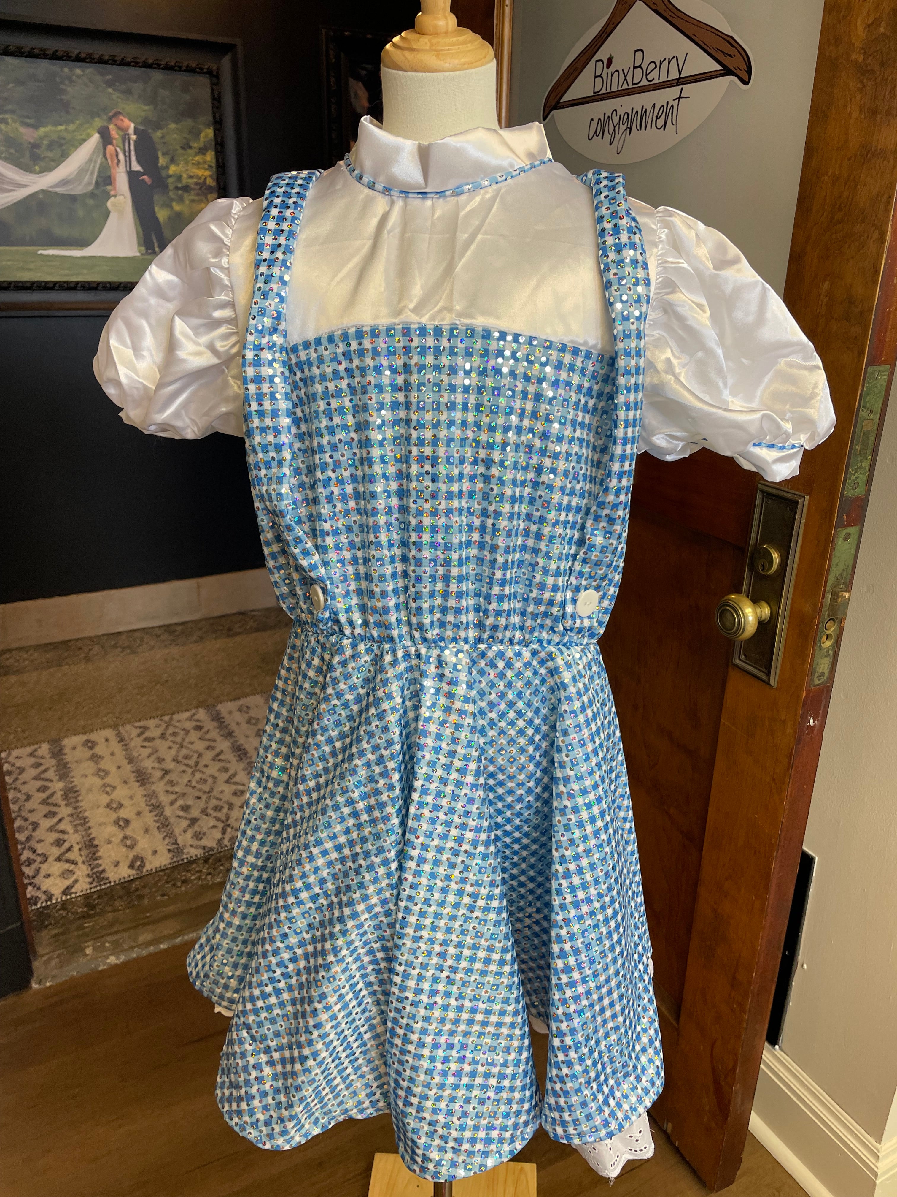 Wizard of Oz Dorothy Children's Costume (YL)