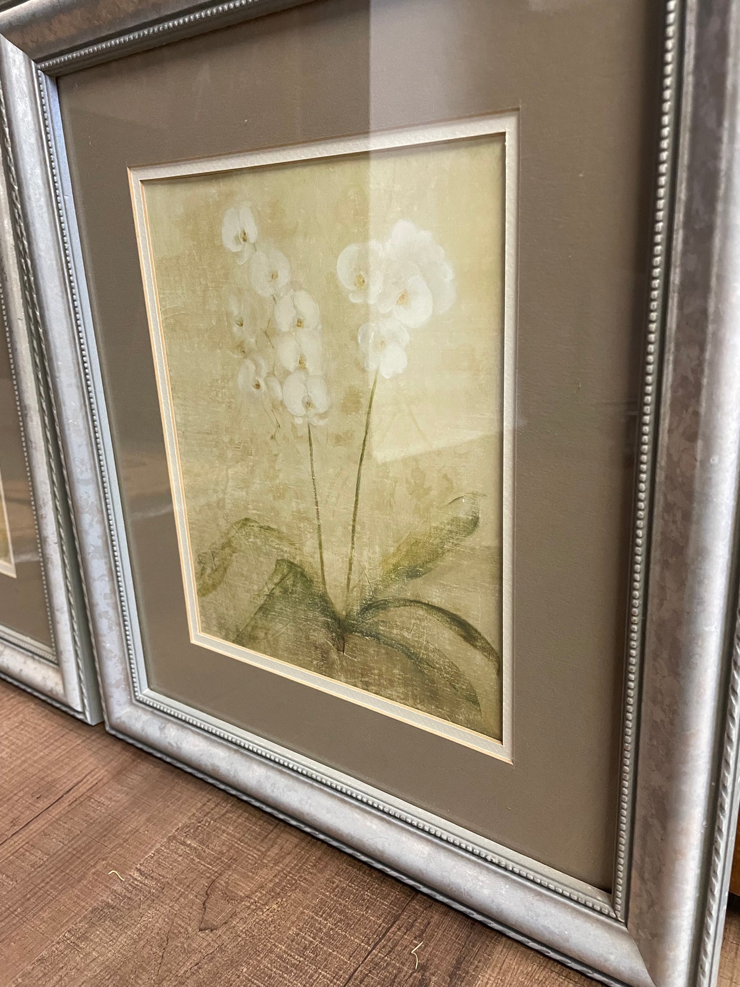 Cheri Blum Framed Print Series
