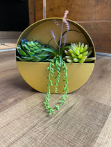 Faux Succulent Wall or Table Display
