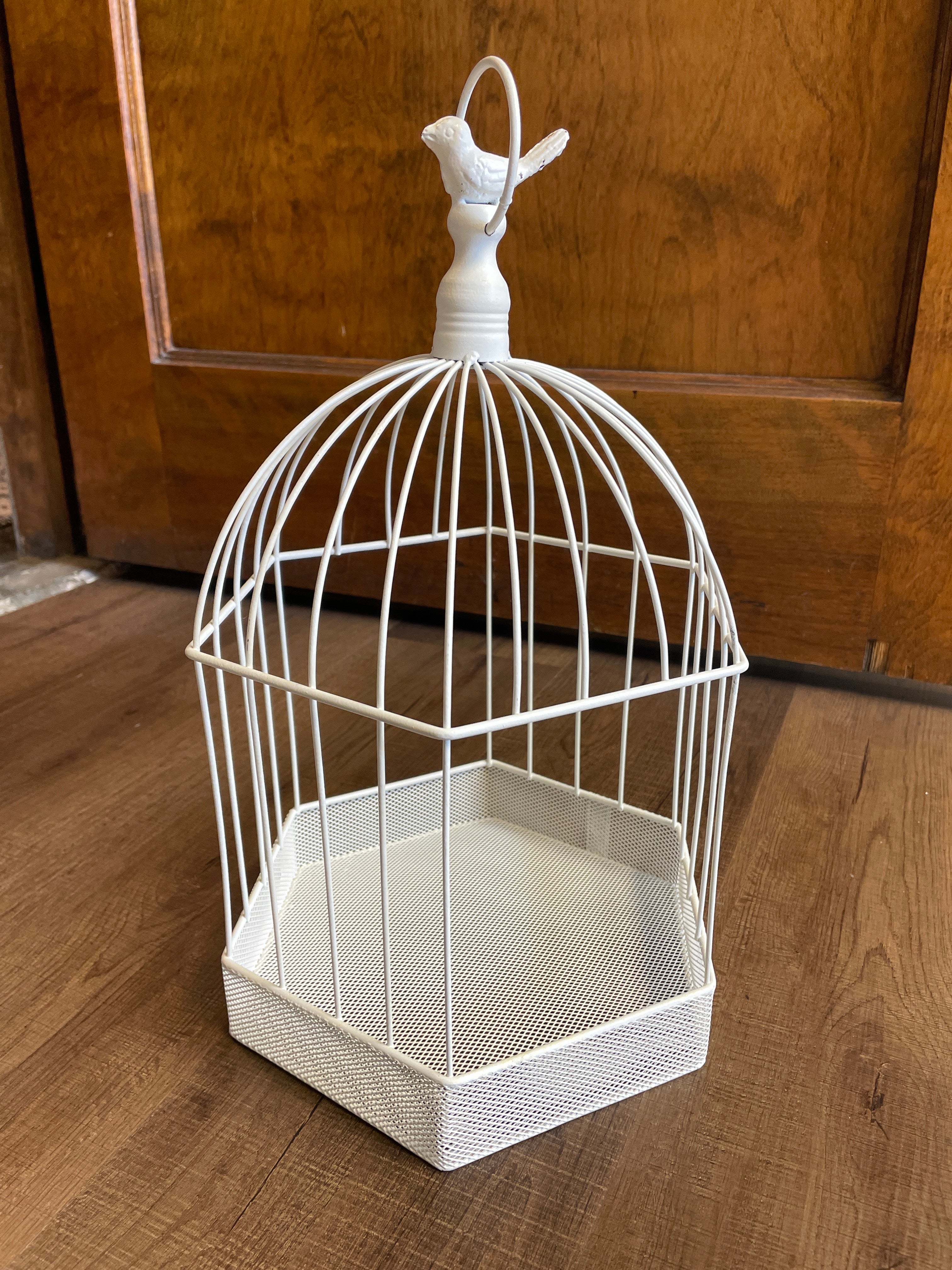 Painted Wire Bird Cage Display