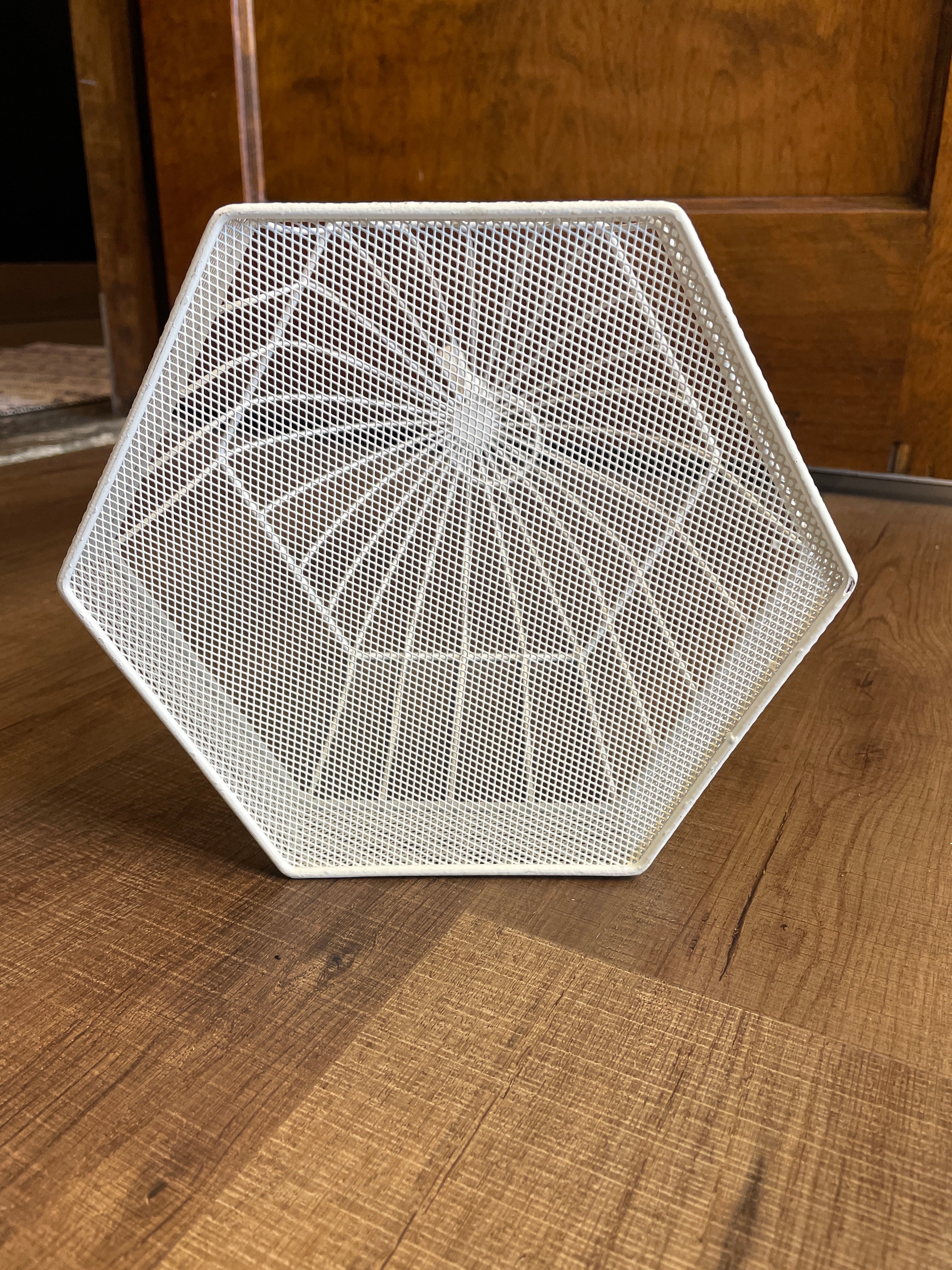 Painted Wire Bird Cage Display