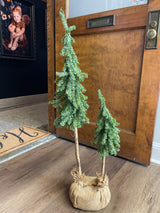 Evergreen Decor