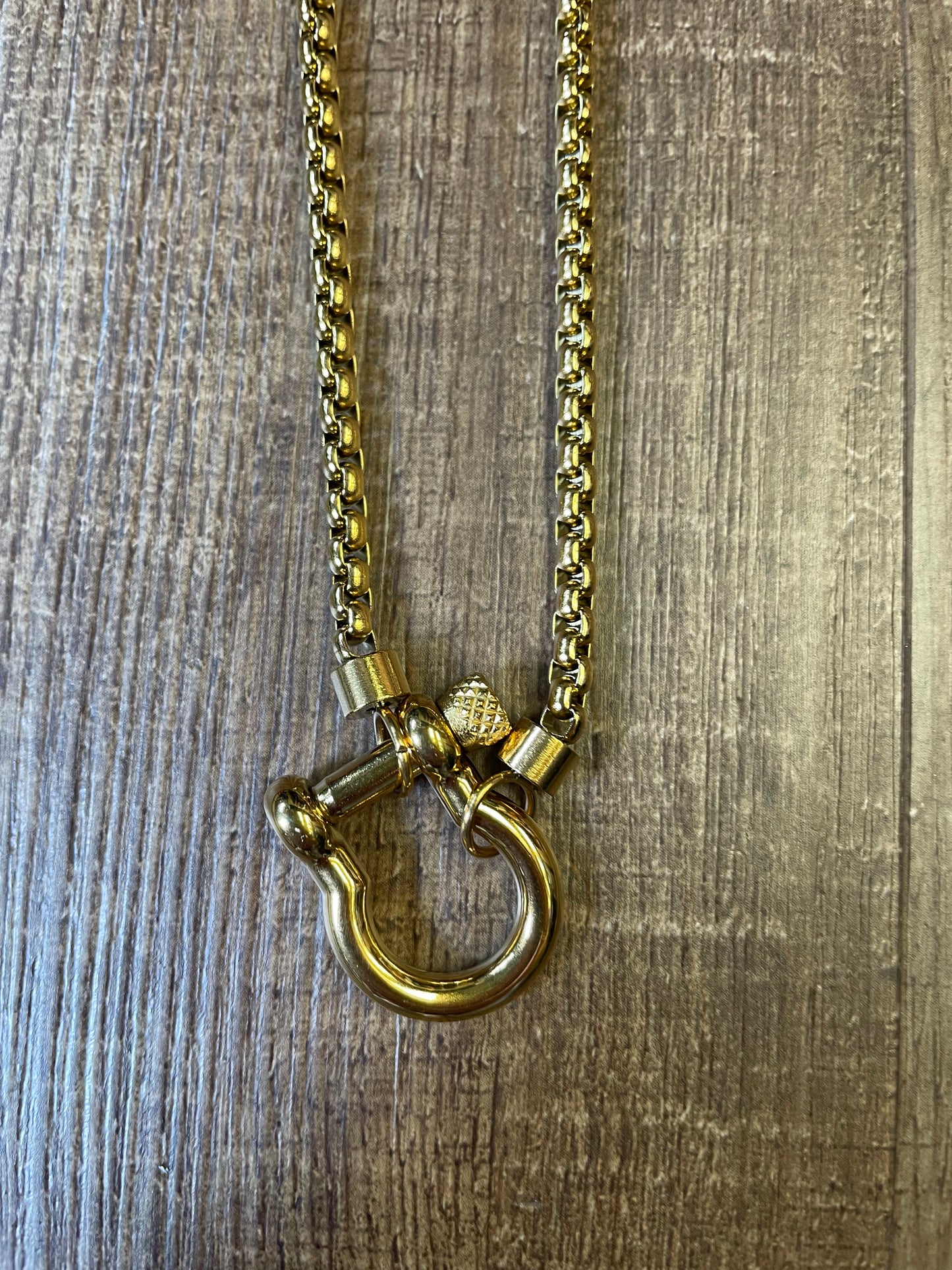 Lucky Horseshoe Fashion Necklace