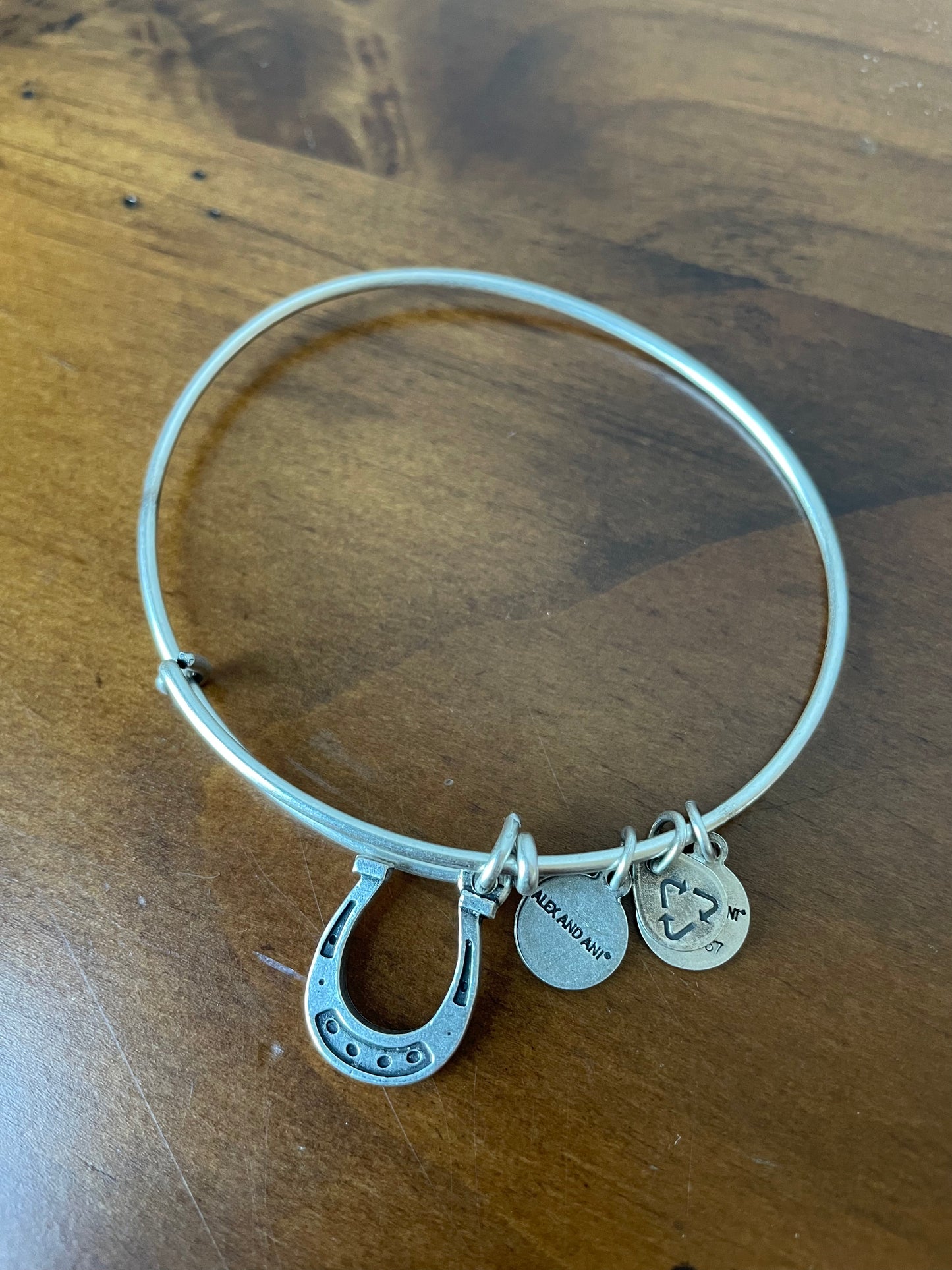 Alex & Ani Horseshoe Bracelet