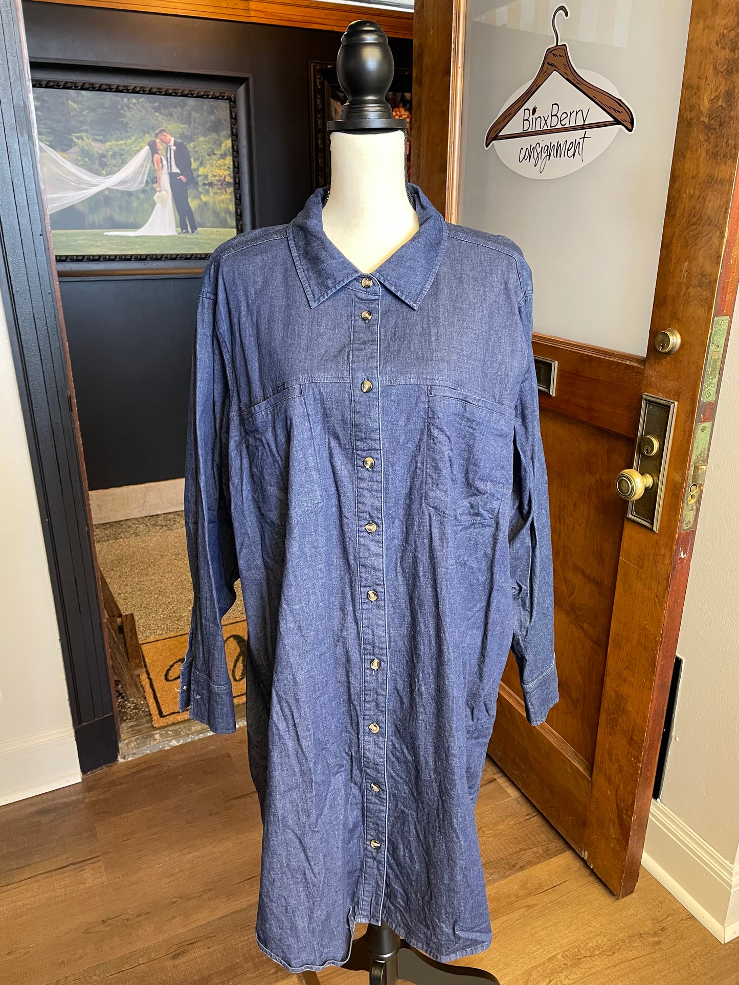 Universal Standard Denim Dress (M)