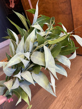 Faux Eucalyptus Spray (set of 4)