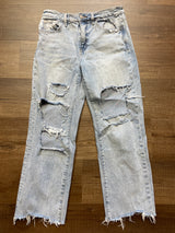 Vervet Blue Destroyed Jeans (28)