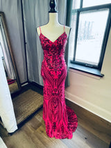 Windsor Pink Sequined Dress (XS)