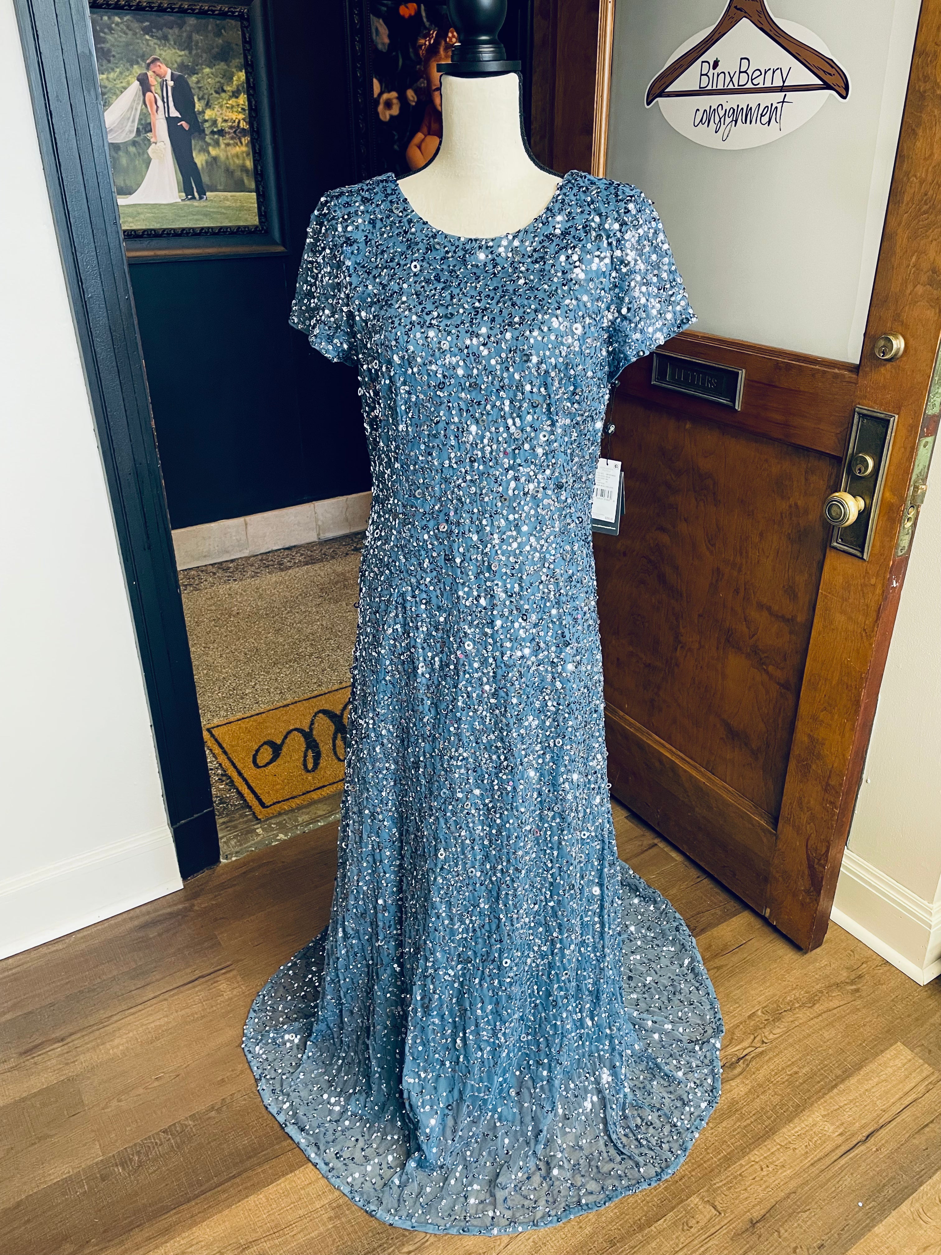 Adrianna Papell NWT Scoop Back Long Dress (14)