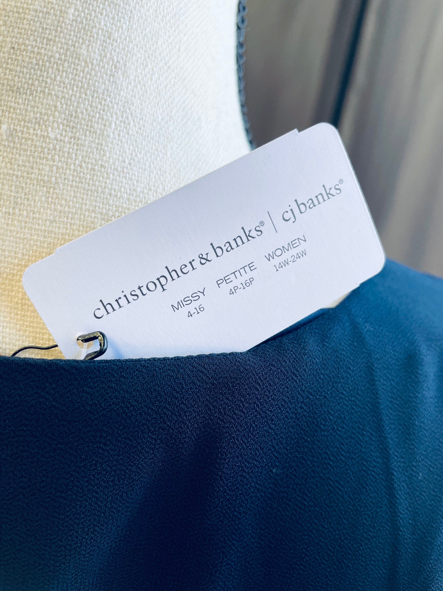 Christopher & Banks Scalloped Sleeve Tie Dress (XL)
