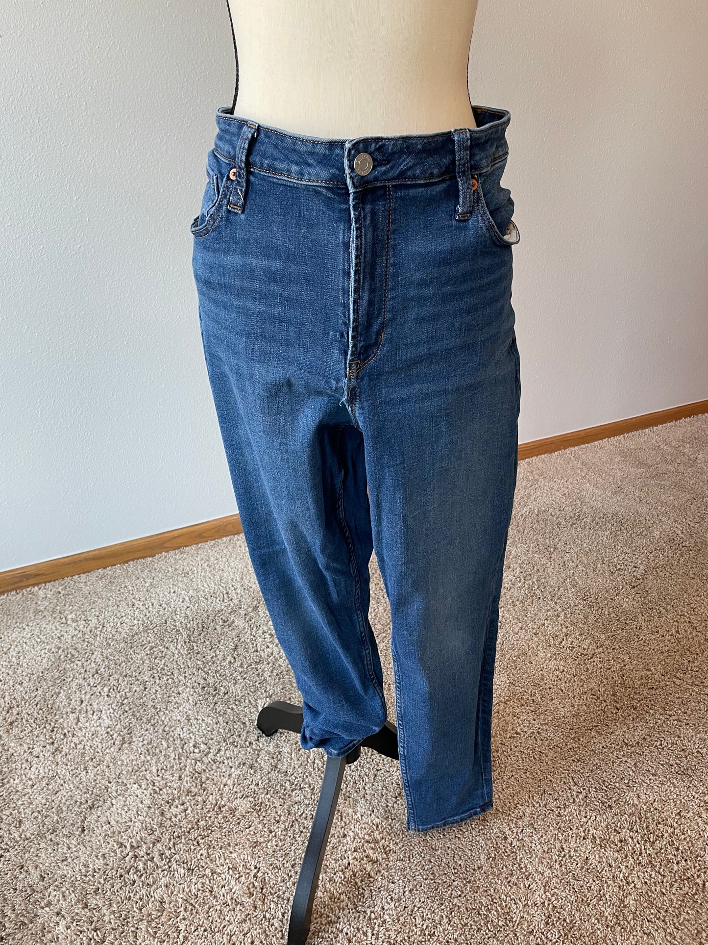 GAP High Rise Denim Jean (18/34)