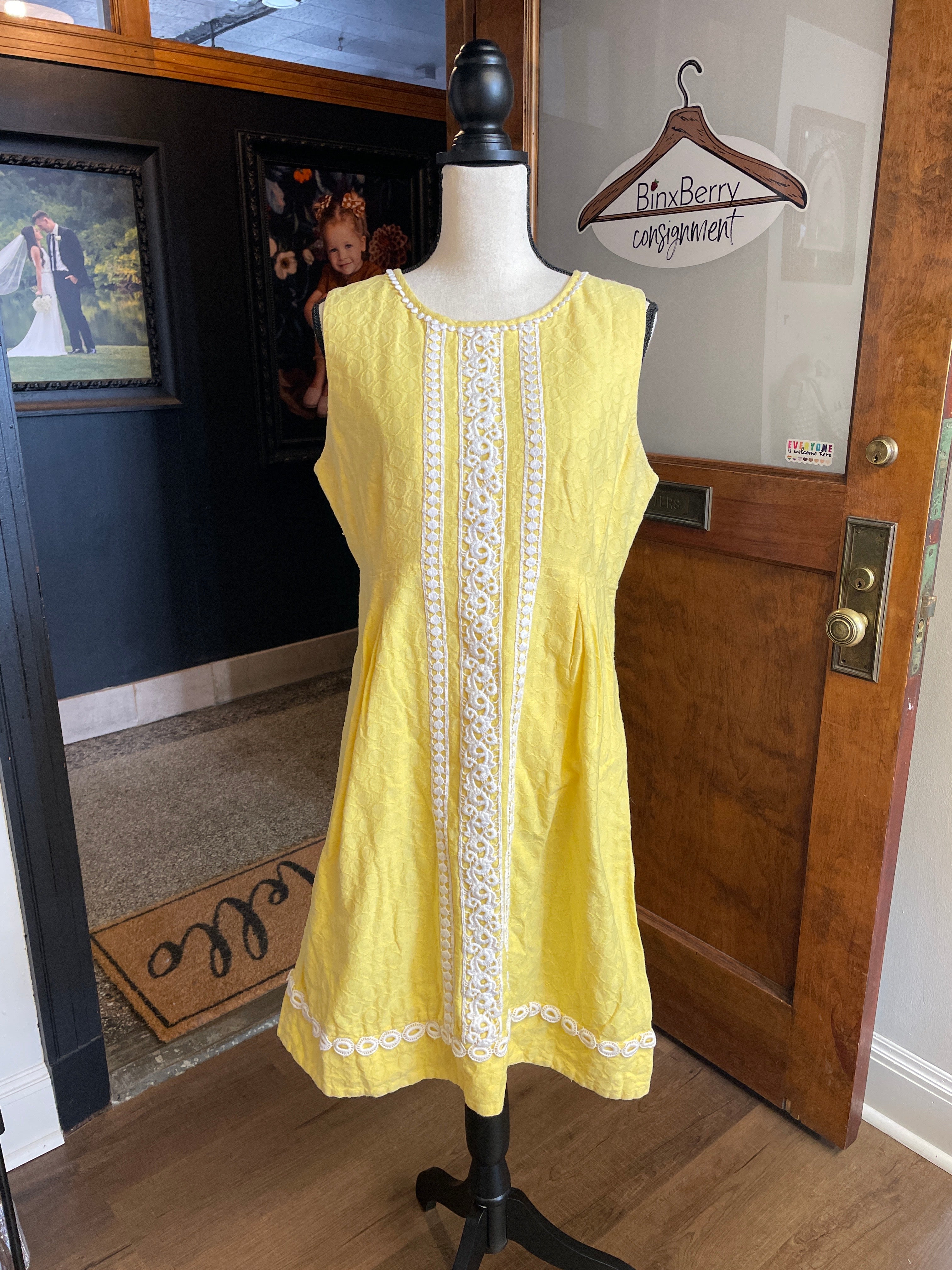 Banana Republic Sleeveless Dress (14)