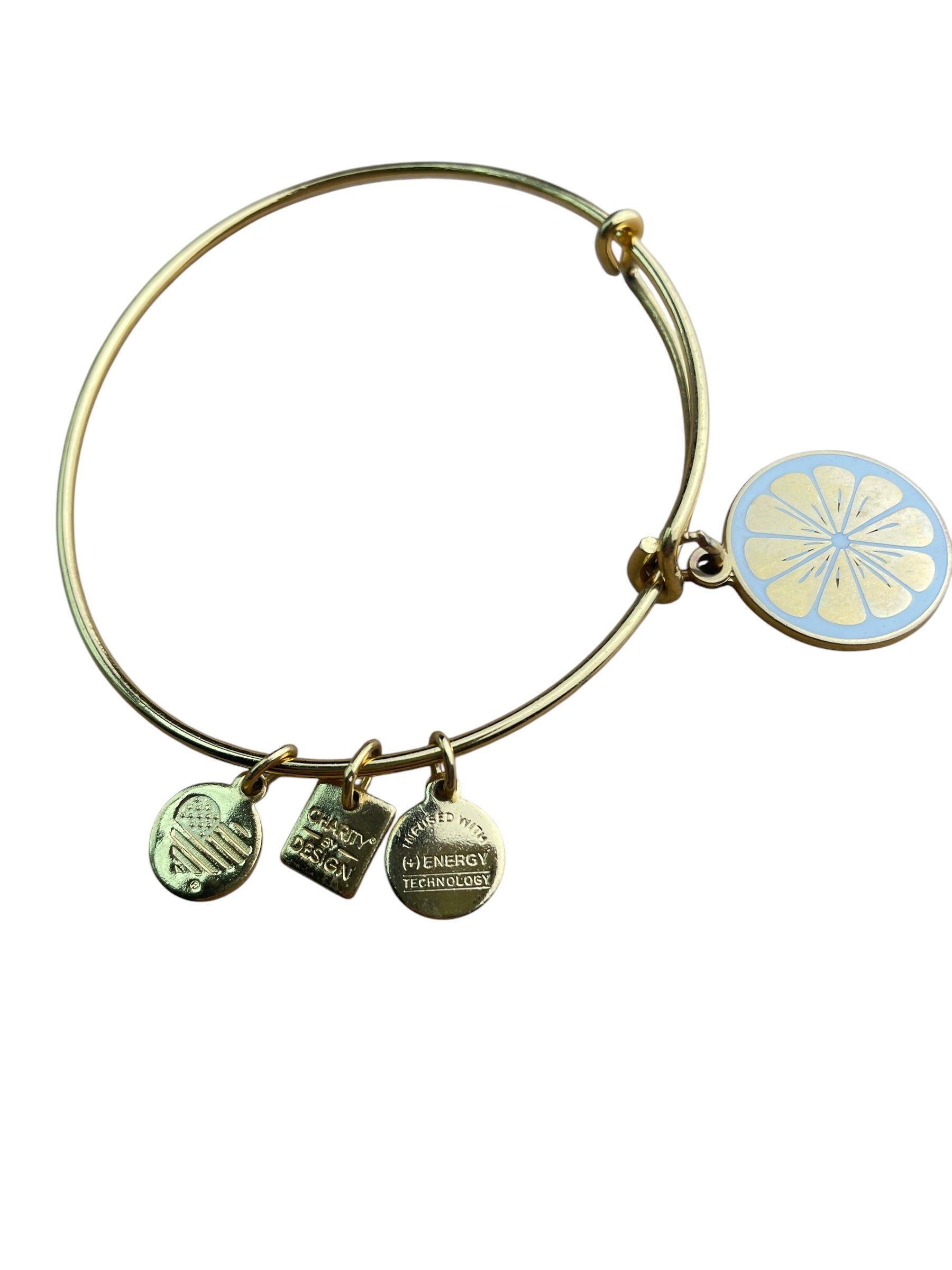 Alex and Ani Zest for Life Gold Bangle