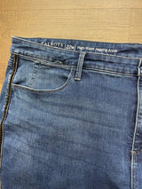 Talbots Jegging (22W)