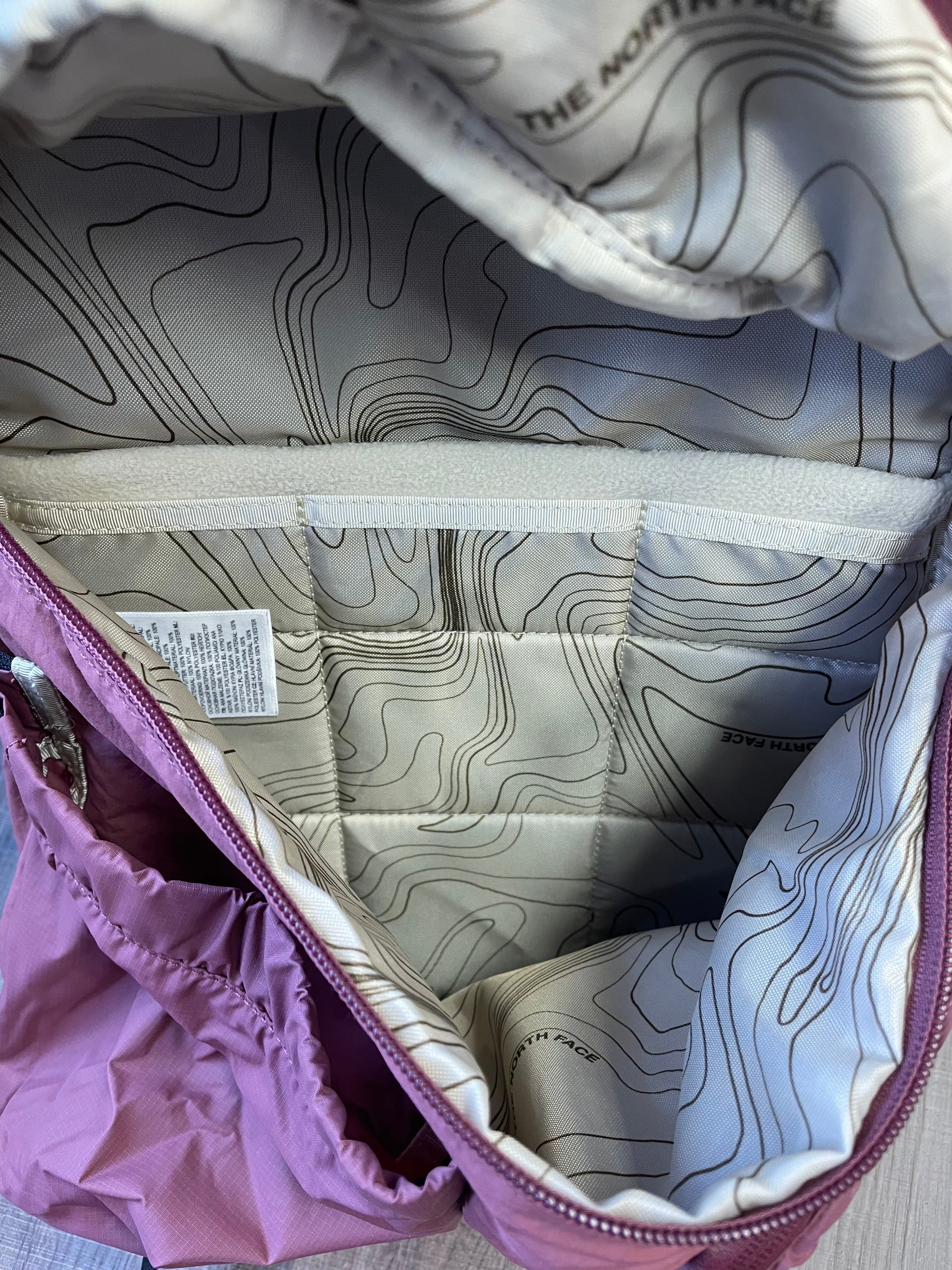 The North Face Mountain Daypack in Pink