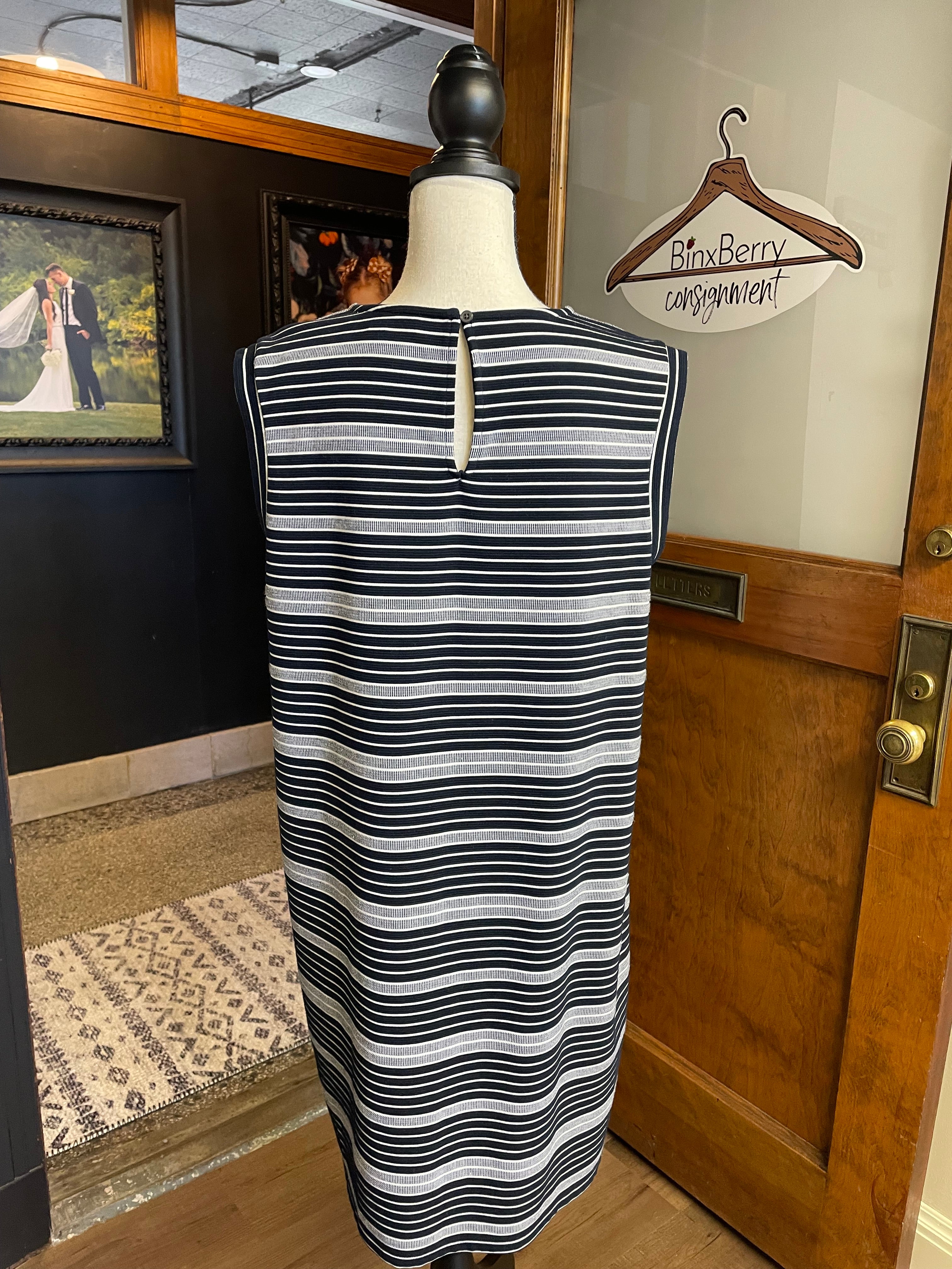 Loft Sleeveless Shift Dress (L)