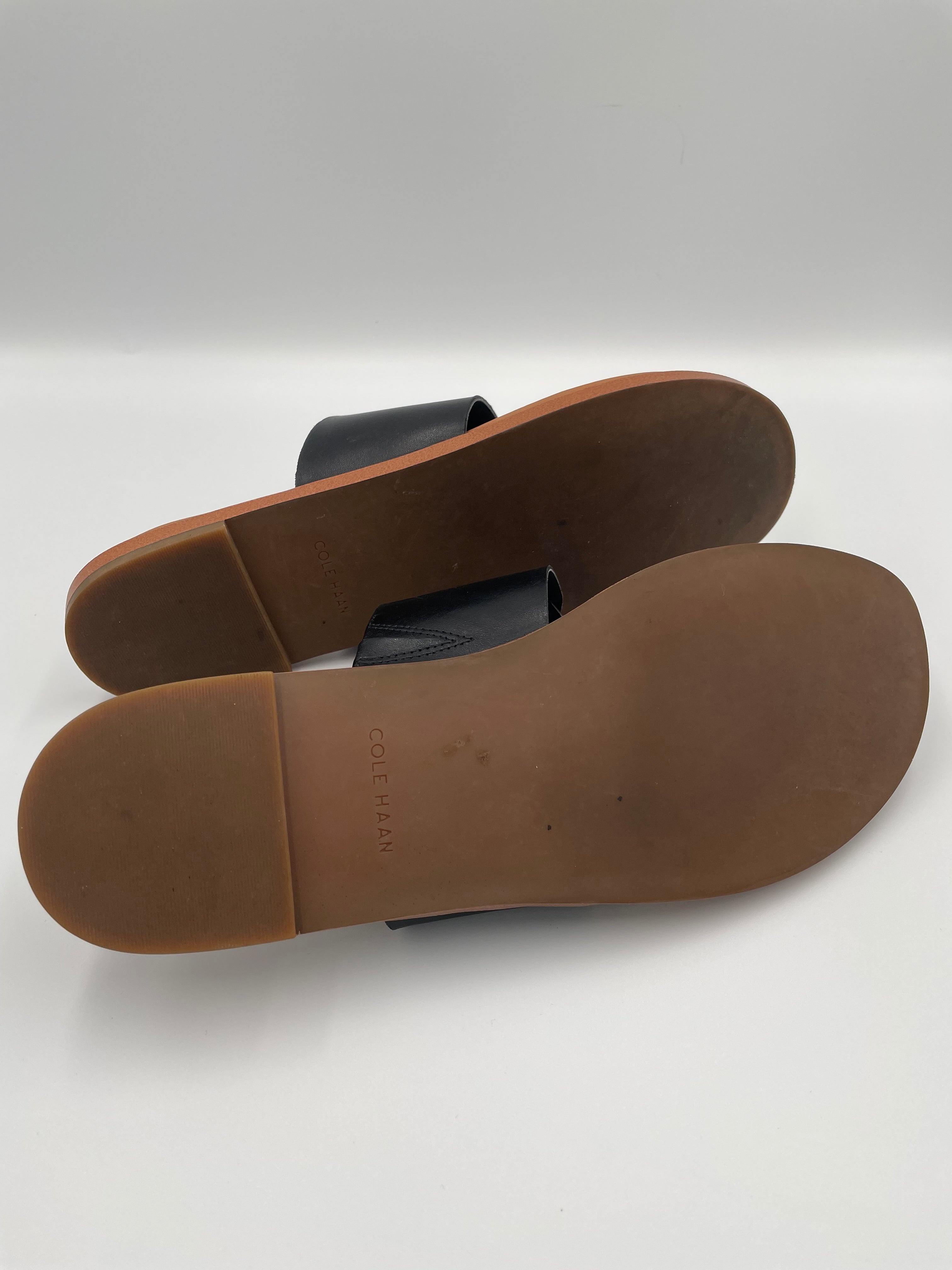 Cole Haan Women's Felix Grand Black Thong Sandal (8.5B)