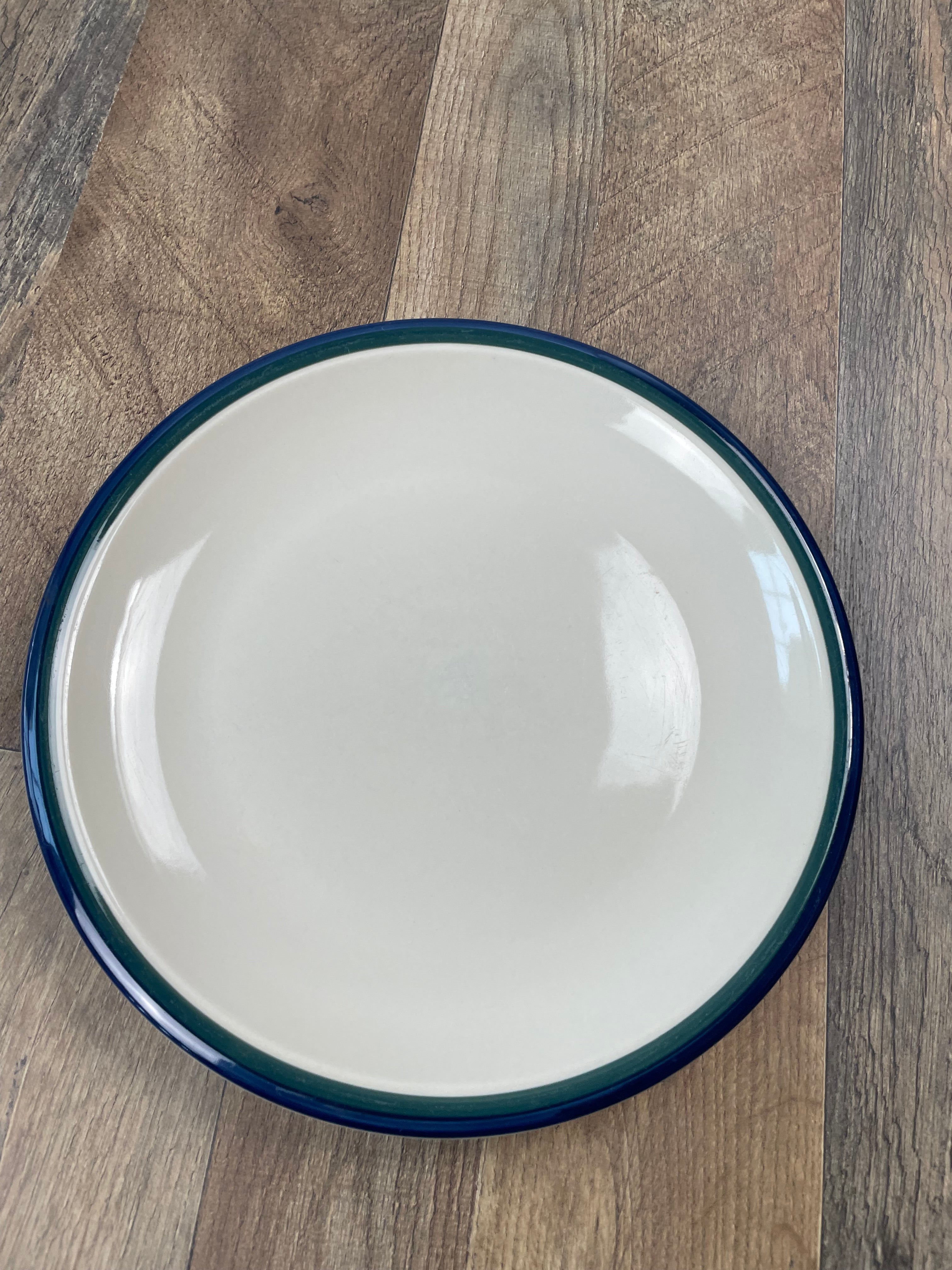 Kitchen Basics Colors by Tinshan Blue Green 10.5" Dinner Plate