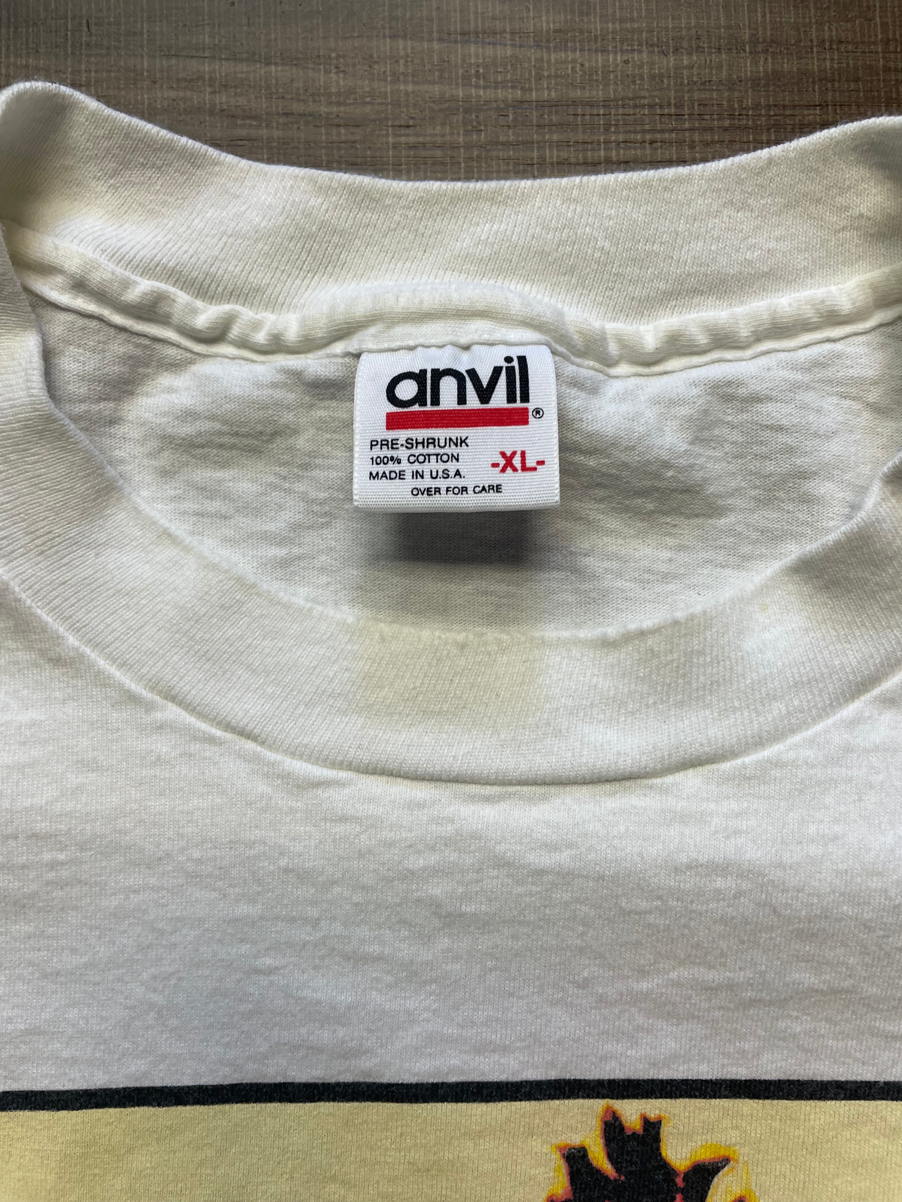 Vintage Eagles Hell Freezes Over 1994 Tour Shirt (XL)