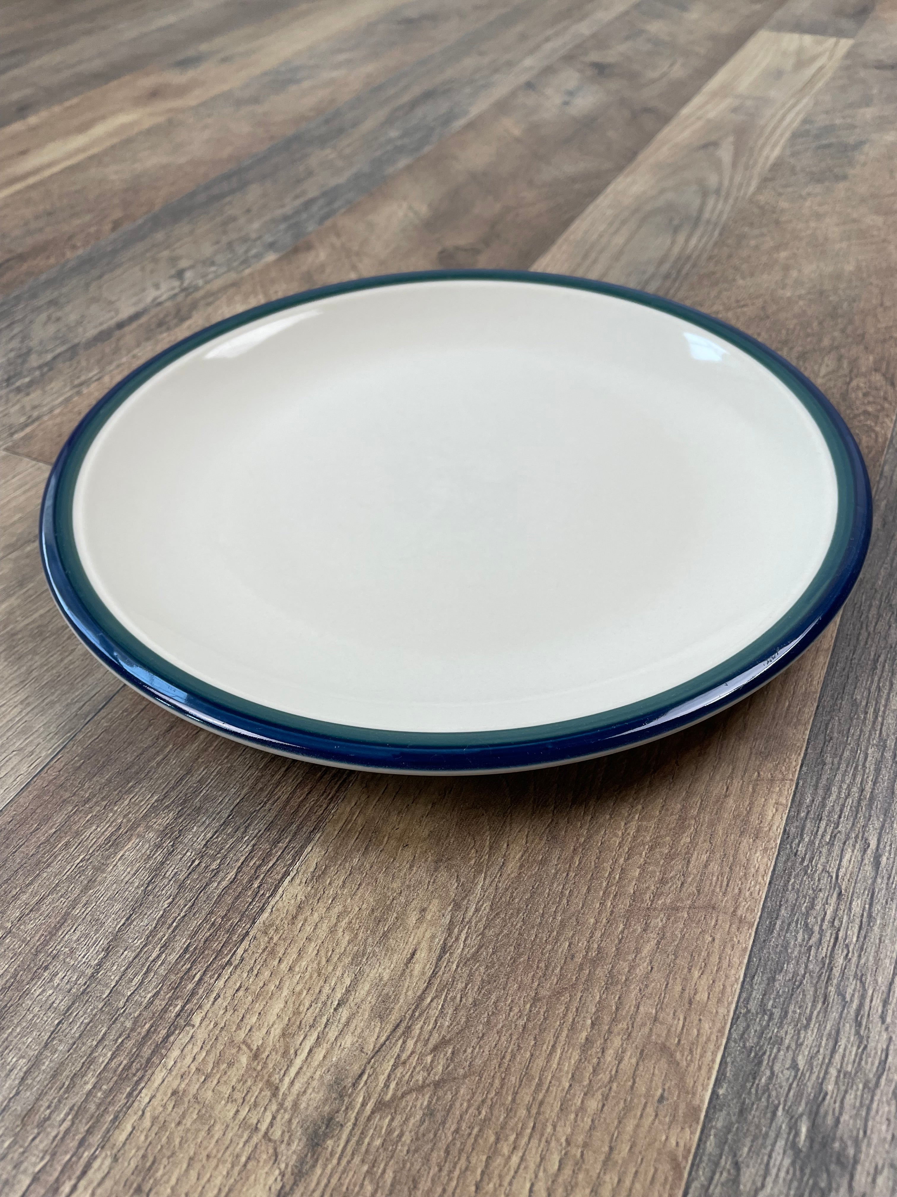 Kitchen Basics Colors by Tinshan Blue Green 10.5" Dinner Plate