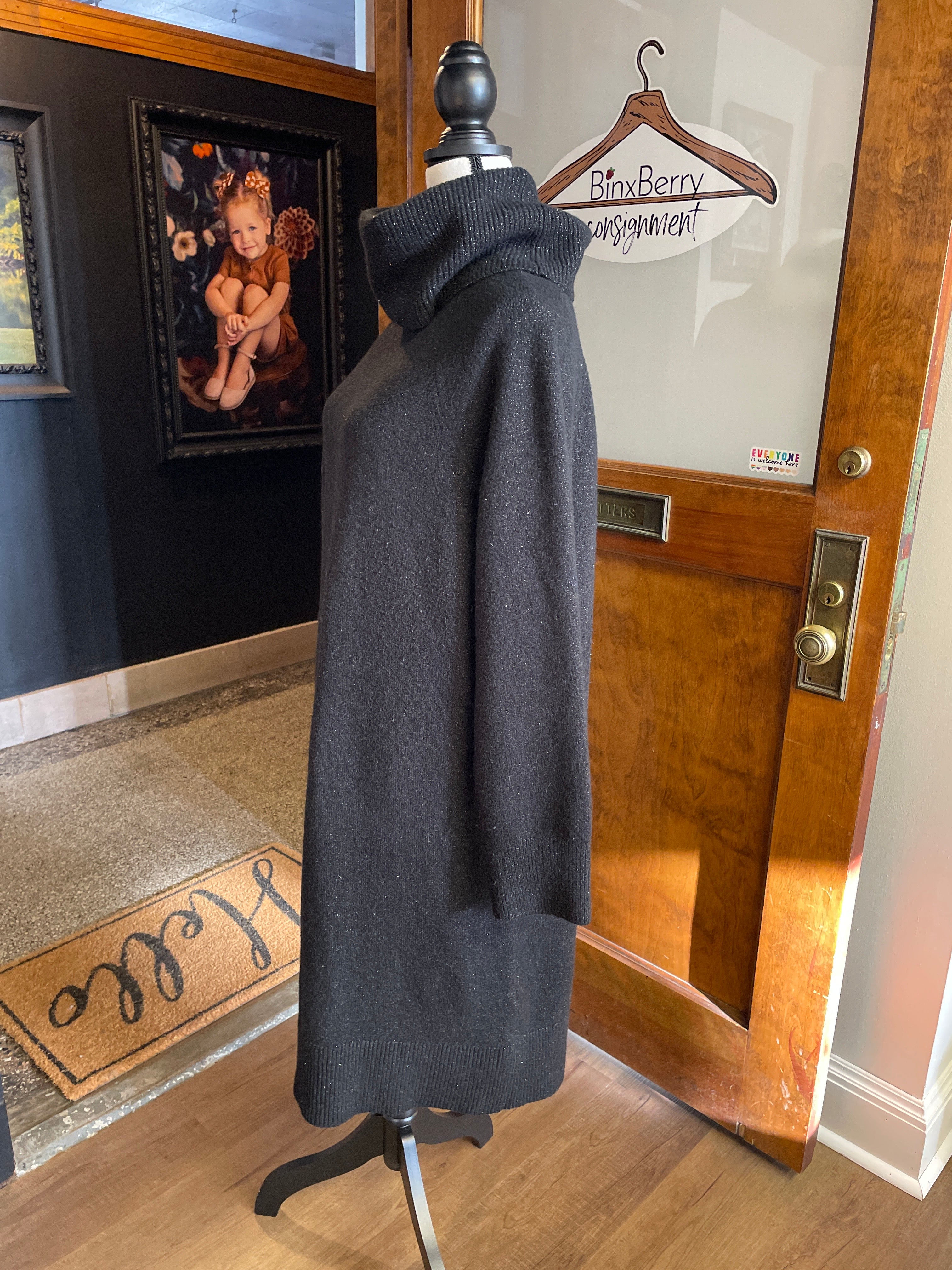 Loft Turtleneck Sweater Dress (XXL Tall)