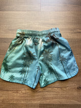 Art Class Palm Tree Mesh Shorts (YM)