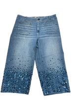 Anthropologie Plus Maeve The Colette Jeans (22W) - BinxBerry Consignment