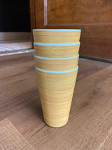 Set of 4 Plastic 16oz Cups