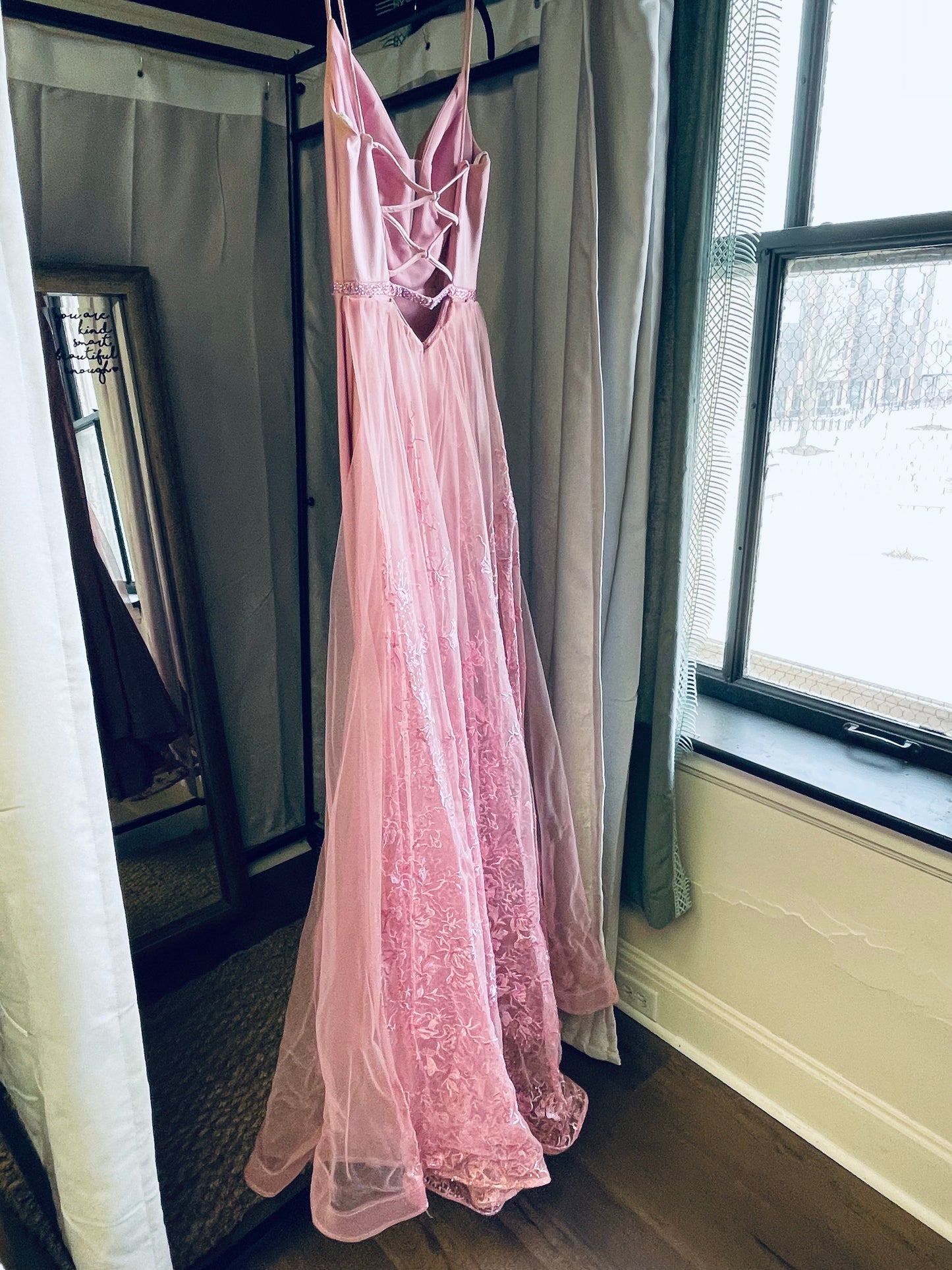 Ellie Wilde Blush Dress (0)