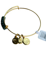 Alex and Ani Frozen Spruce Fine Rocks Bangle