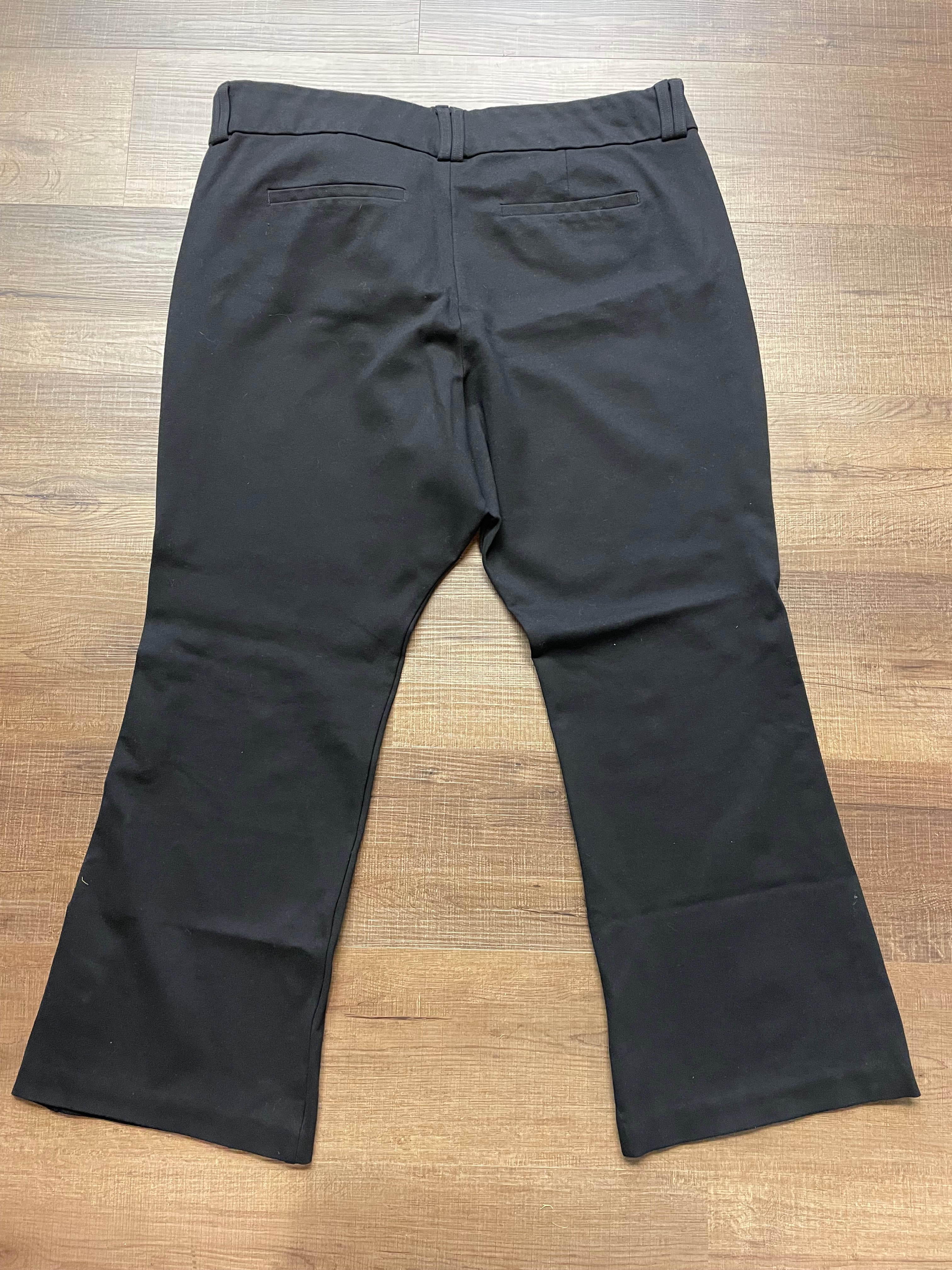 Studio by Torrid Women's Slacks (24 Tall)