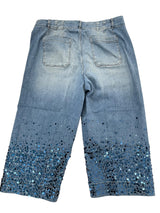 Anthropologie Plus Maeve The Colette Jeans (22W) - BinxBerry Consignment