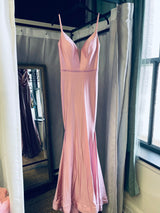 Ellie Wilde Blush Dress (0)