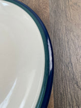 Kitchen Basics Colors by Tinshan Blue Green 10.5" Dinner Plate