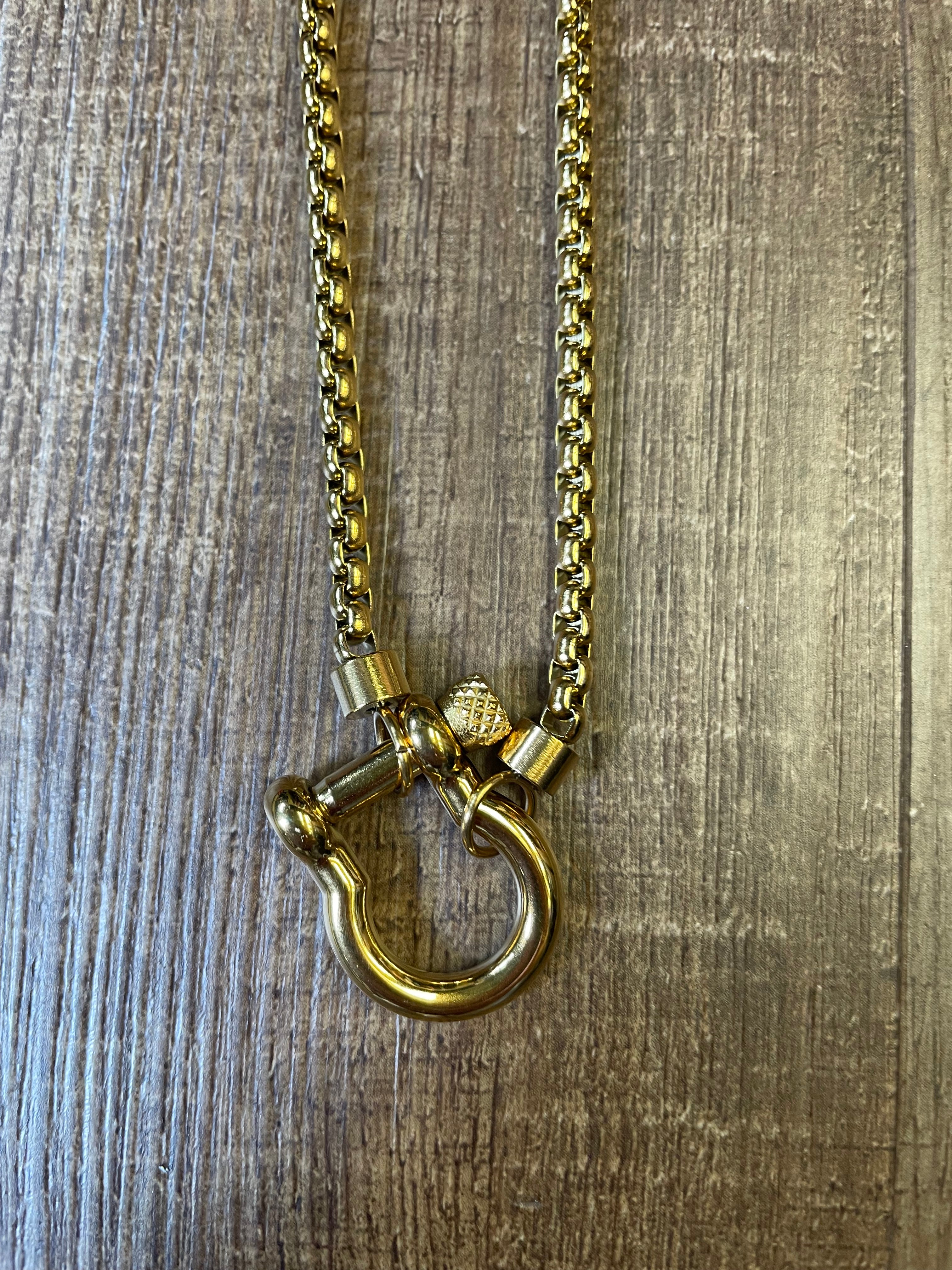 Lucky Horseshoe Fashion Necklace