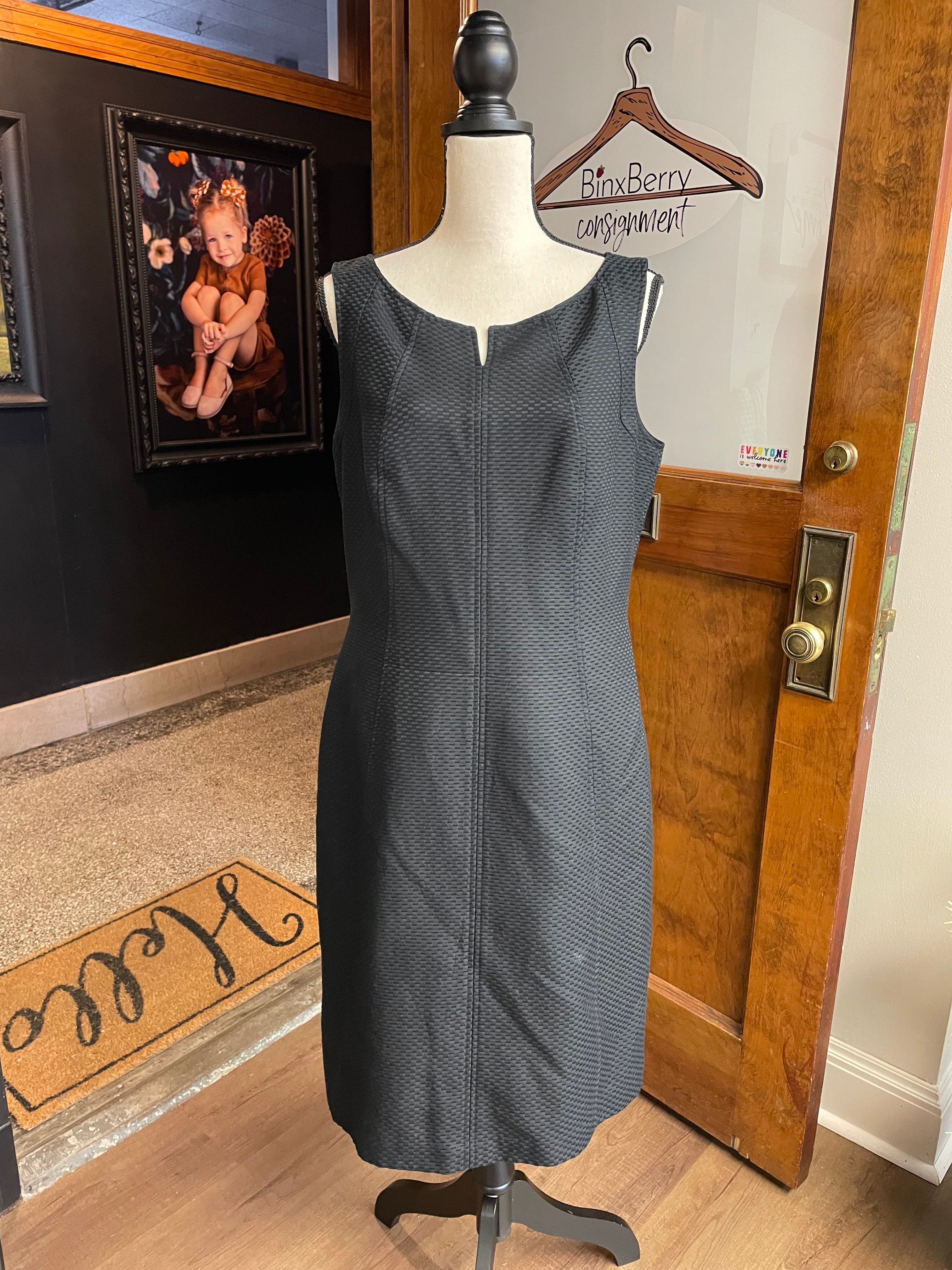 Talbots A-Line Silk Blend Sleeveless Dress (14)