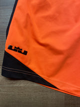 Nike Lebron James Neon Orange Basketball Shorts (M)