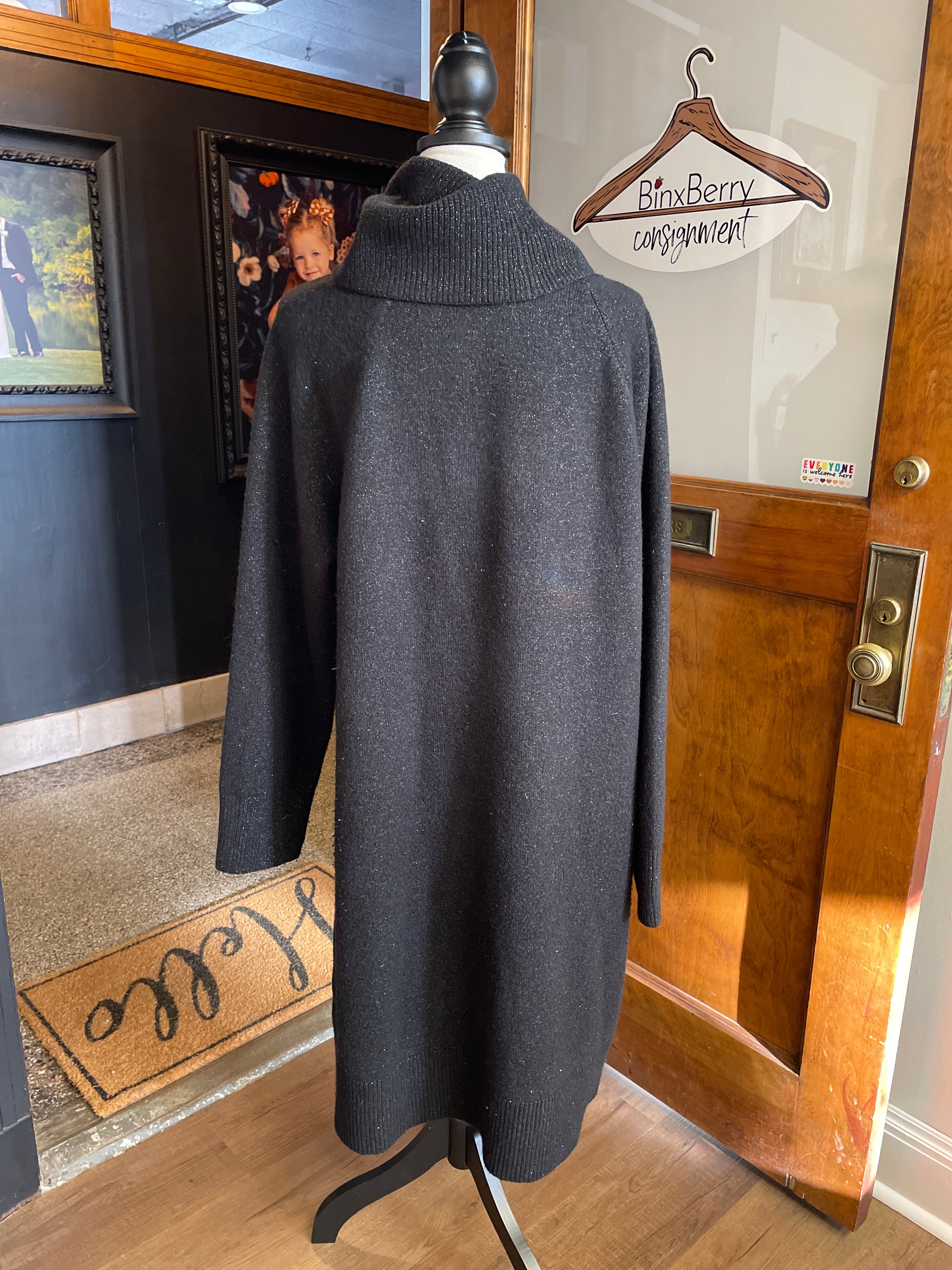 Loft Turtleneck Sweater Dress (XXL Tall)