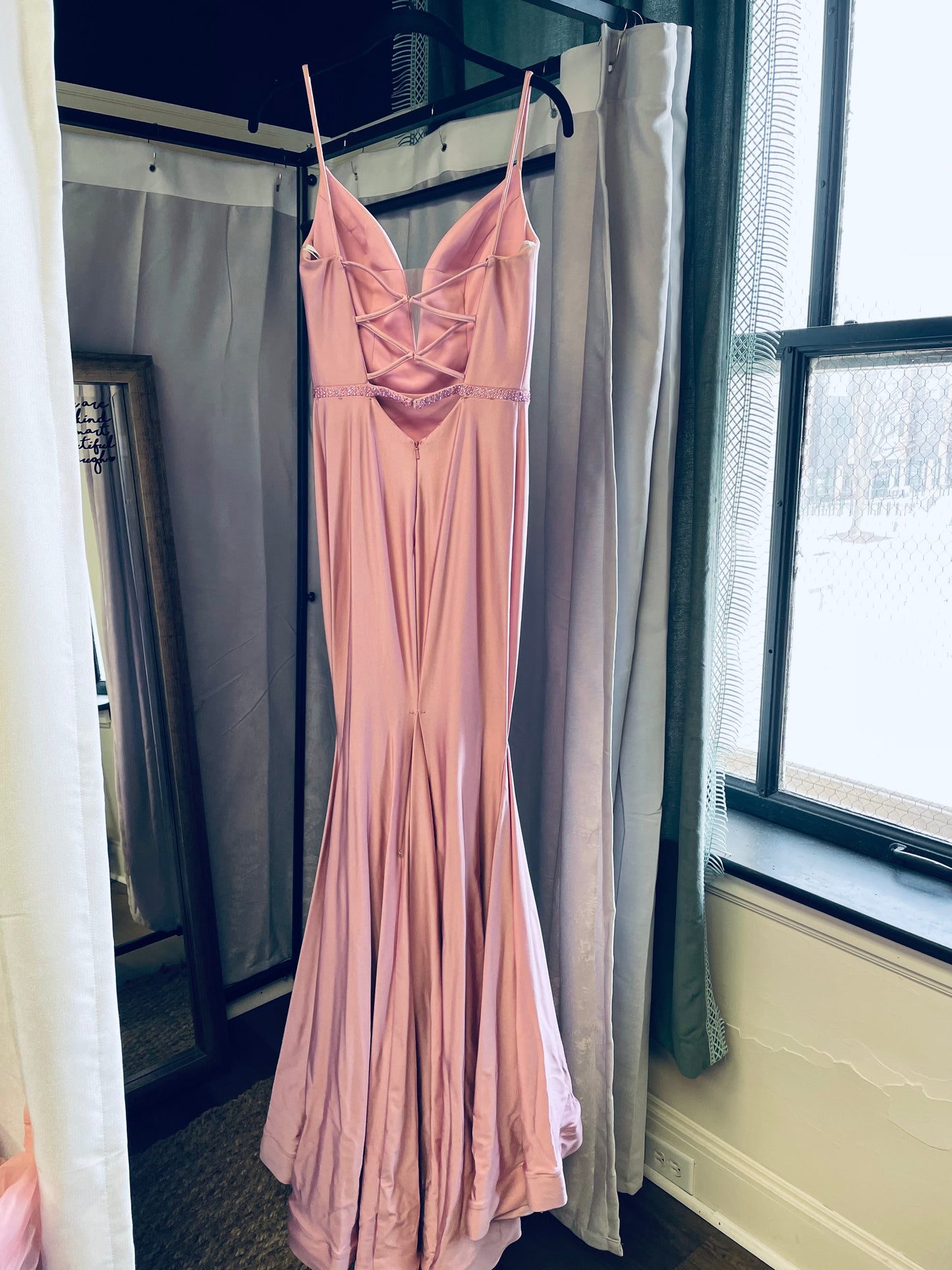 Ellie Wilde Blush Dress (0)
