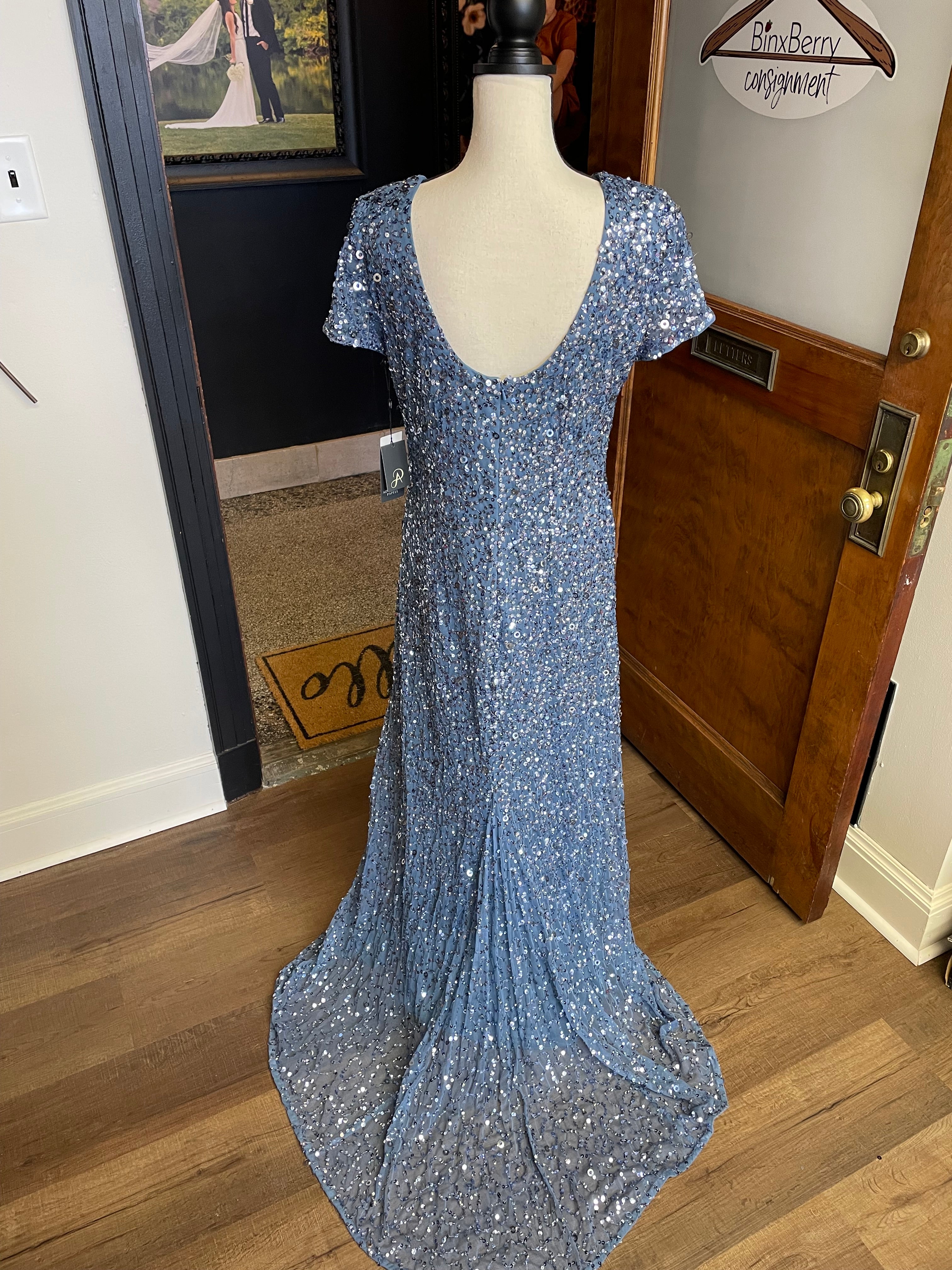 Adrianna Papell NWT Scoop Back Long Dress (14)