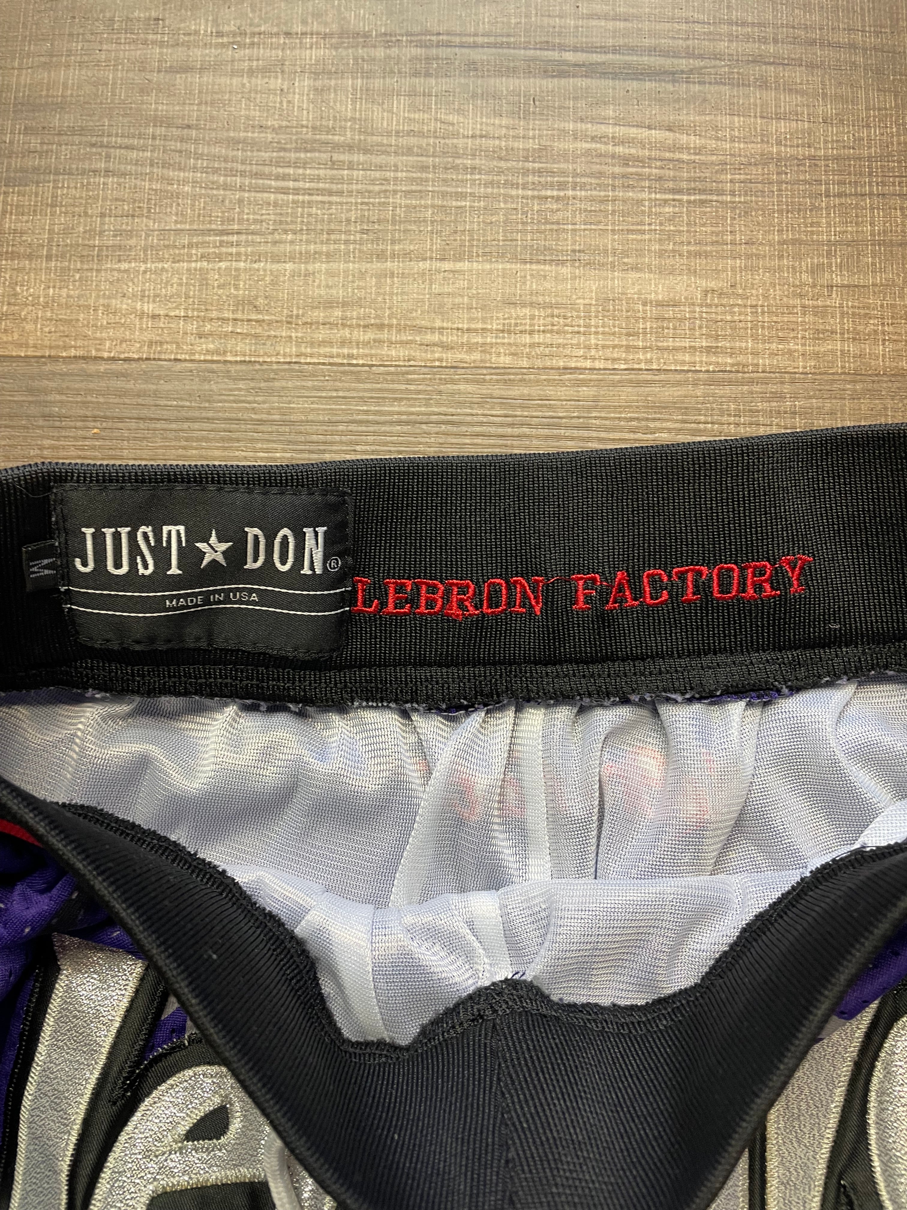 Just Don Lebron Factory Lebronte Mesh Shorts (M)