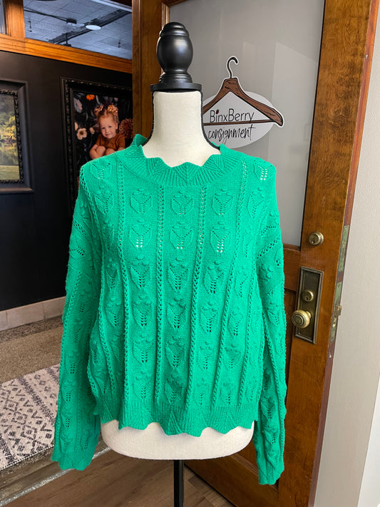 Cider Cropped Sweater (1X)