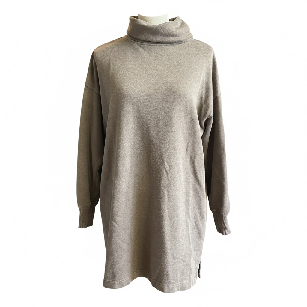 Aerie Turtleneck Sweatshirt Dress (S)